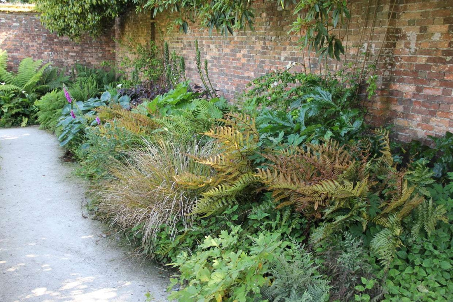 Garten-Idee aus The Lost Gardens of Heligan (Ein Juwel unter den cornischen Gärten)