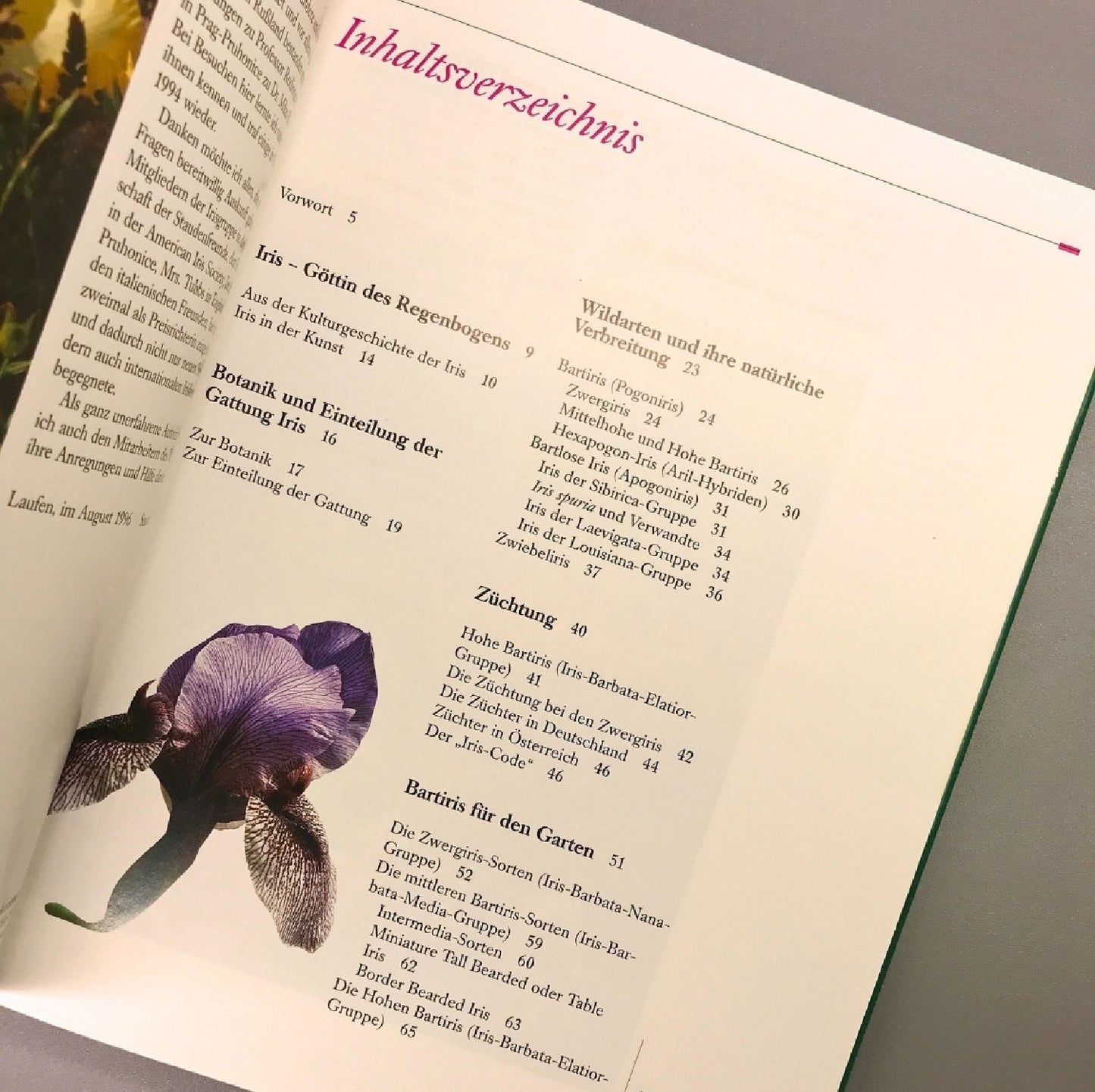 Iris - Die besten Arten und Sorten (Susanne Weber)