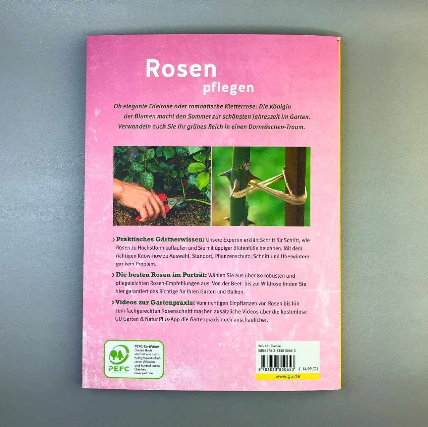 Rosen pflegen (Silke Kluth)