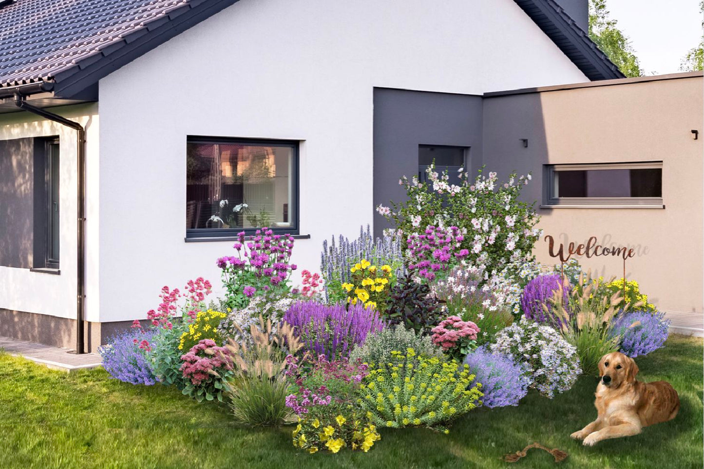 Dauerblüher Perfektion in Form und Farbe