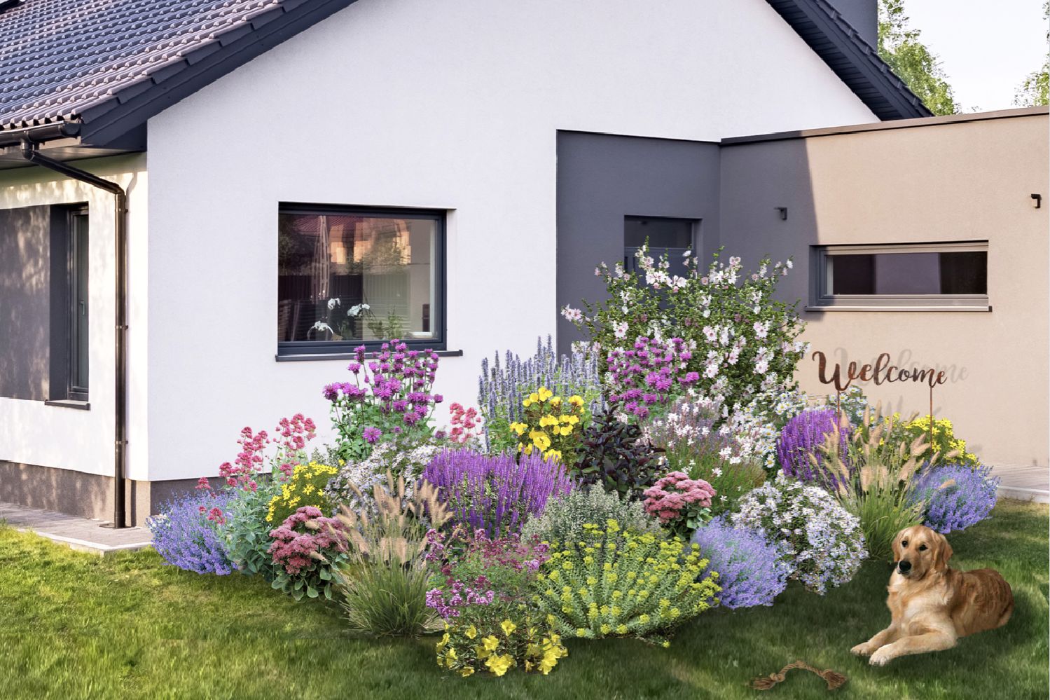 Dauerblüher Perfektion in Form und Farbe