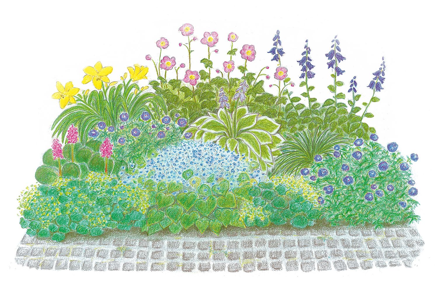 Licht und Schatten Schönes für dunkle Gartenecken