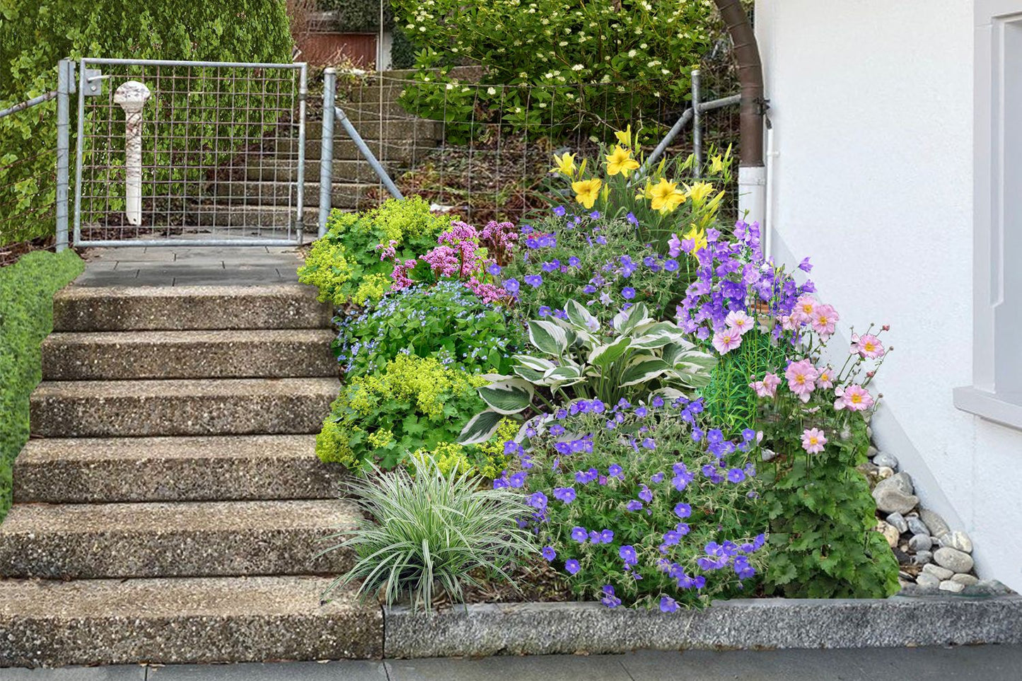 Licht und Schatten (Schönes für dunkle Gartenecken)