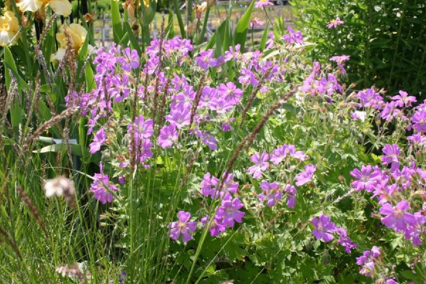 Traum in Mauve & Silber (Mitreißende Ton-in-Ton Inszenierung)