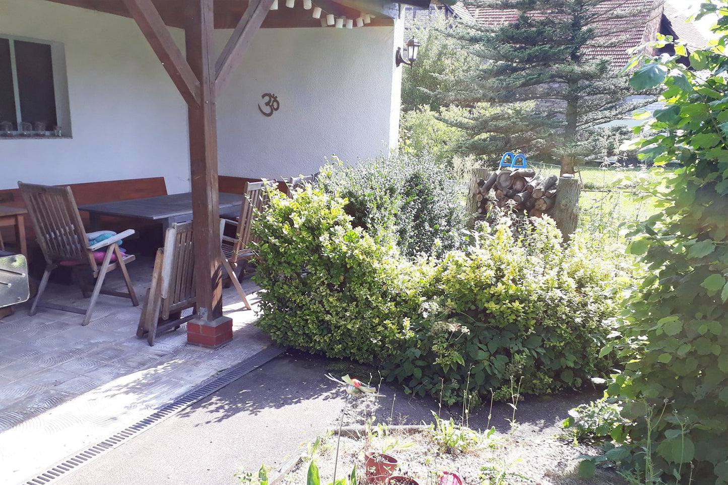 Alles Easy - Das Anfängerbeet (Gartenneulinge aufgepasst!)