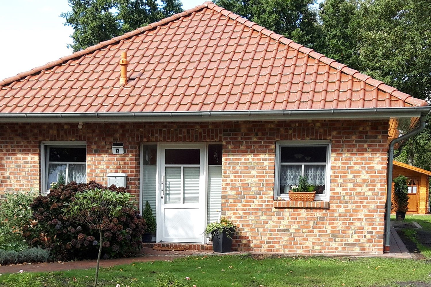 New German Style (Wundervolle Wildstaudenpracht)