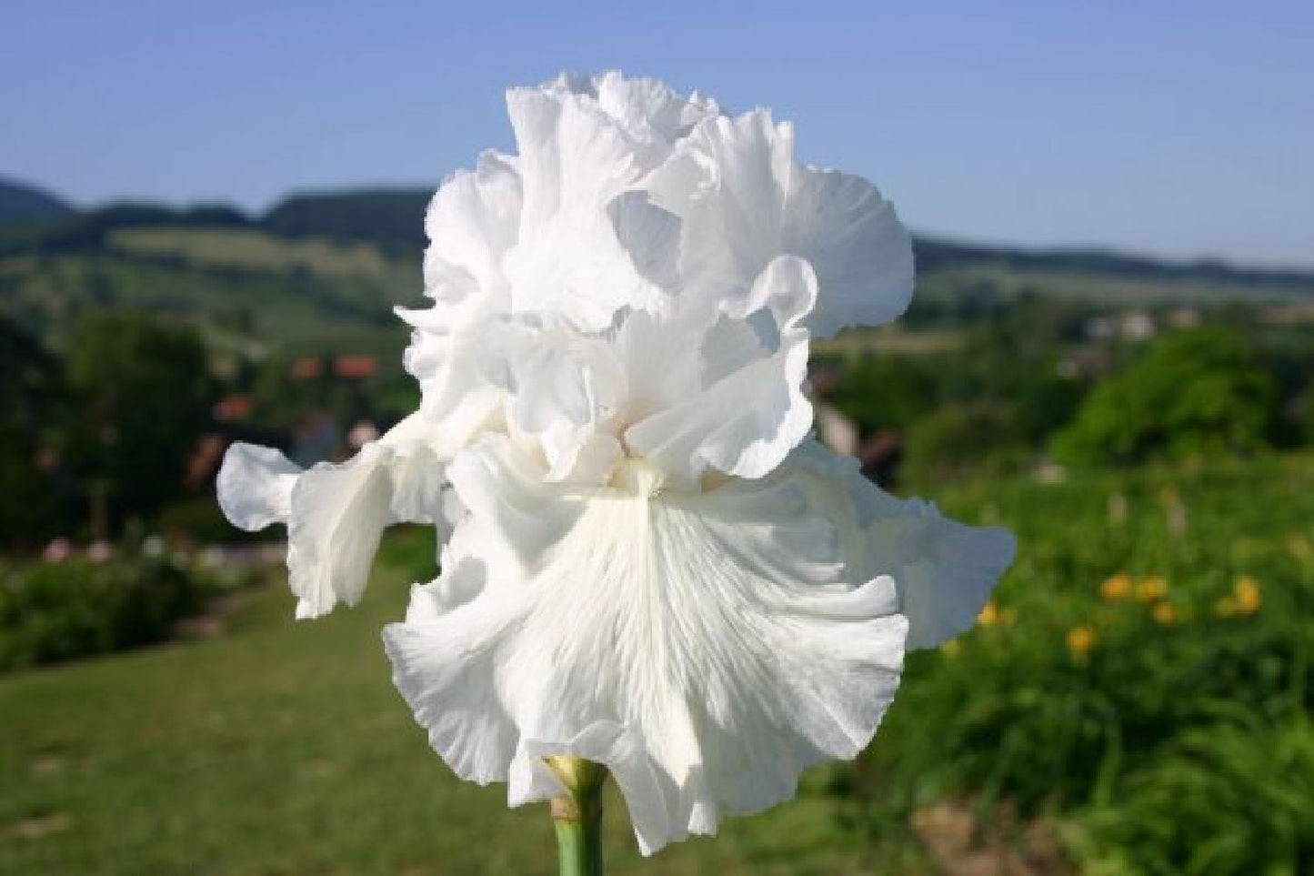 Sommerhimmel (So schön wie Sonnenschein und Wattewölkchen)