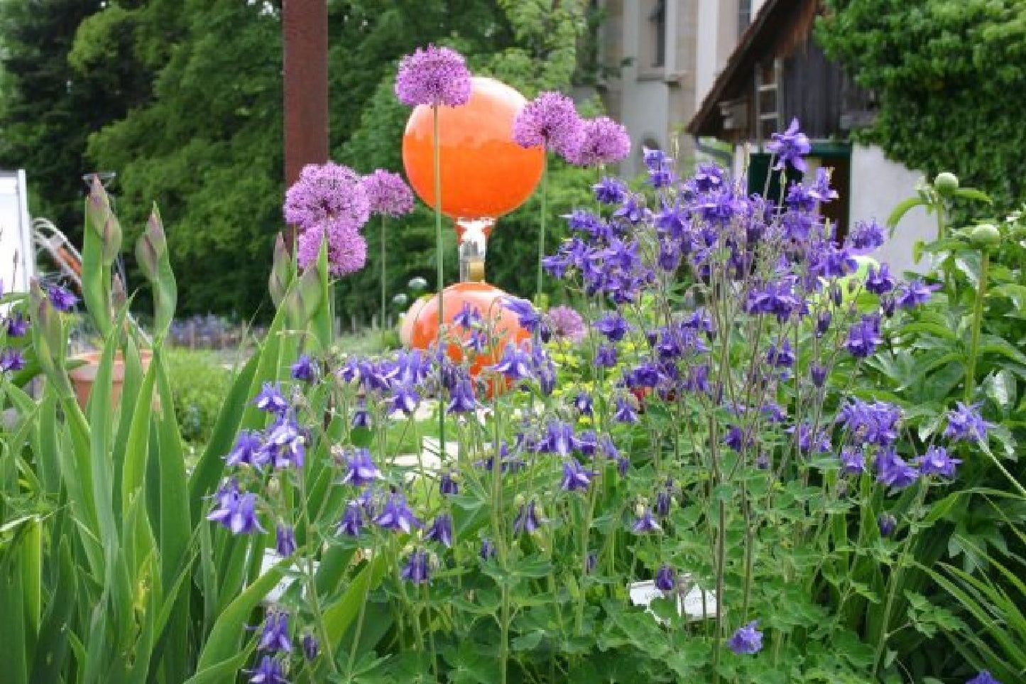 Lauschiger Lieblingsplatz (Hochsommerlicher Rückzugsort)