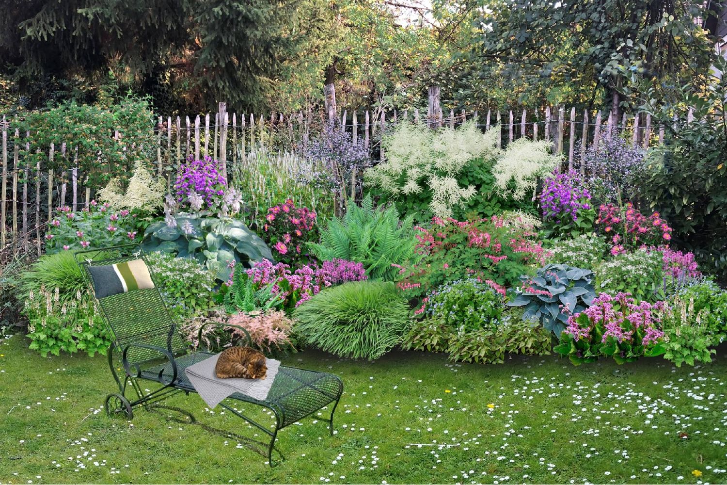 Charmantes Schattenbeet Blüten-& Blattschmuck für lichtarme Gartenbereiche