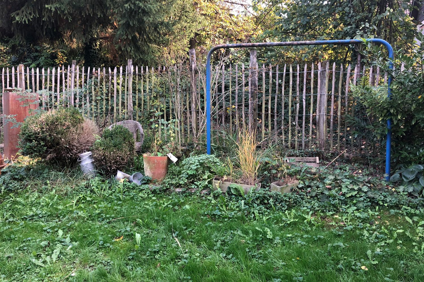 Charmantes Schattenbeet (Blüten-& Blattschmuck für lichtarme Gartenbereiche)