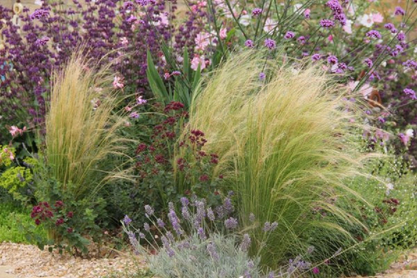 Alhambra (Urlaubsfeeling im eigenen Garten)