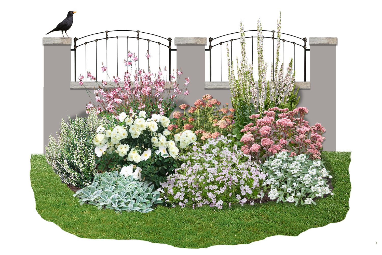 Achillea-Paket 'Lovely' Ein Gedicht in zartem Weiß-Rosa