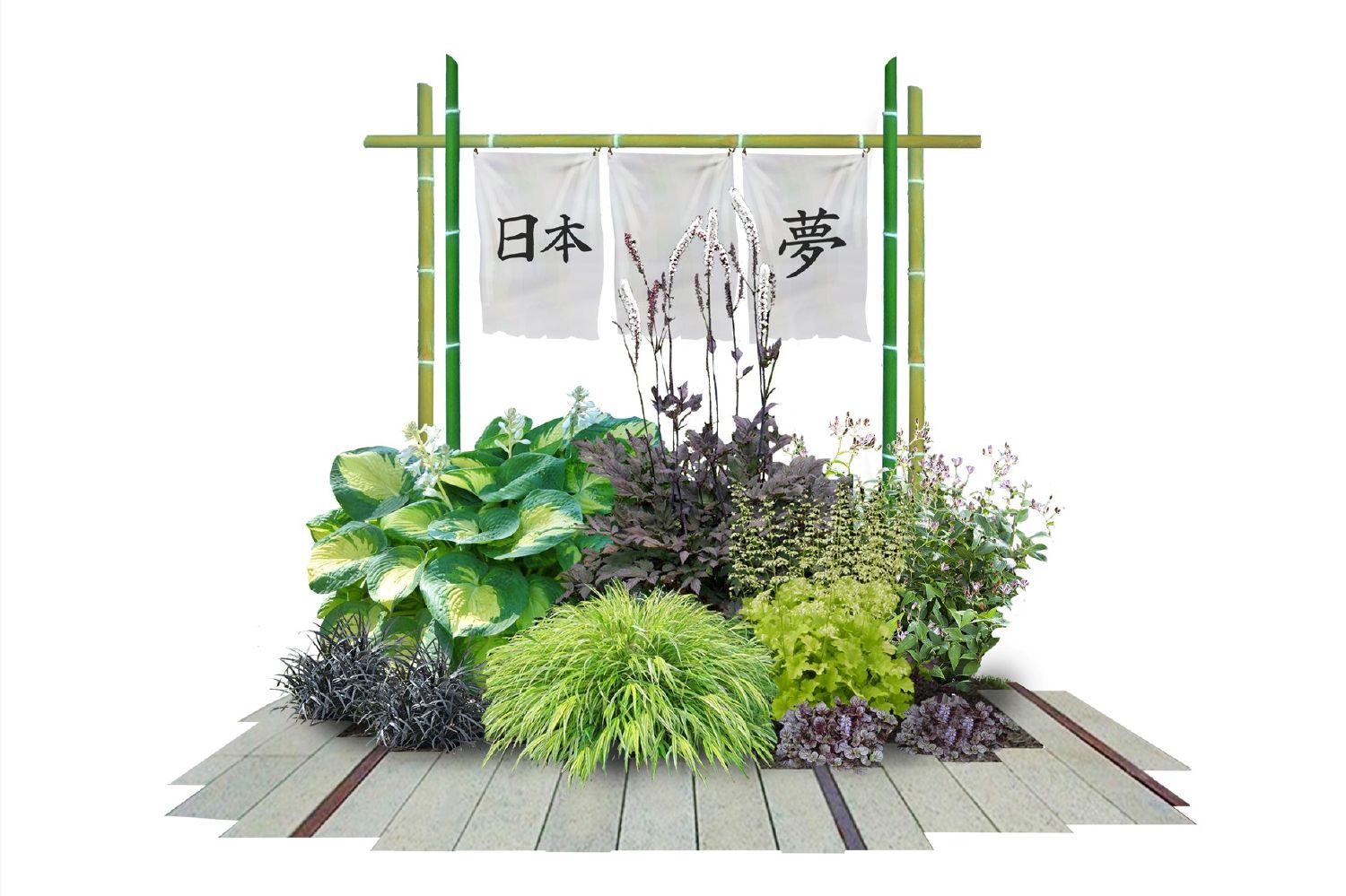 Hakonechloa-Paket 'Nippon' Japan einmal anders