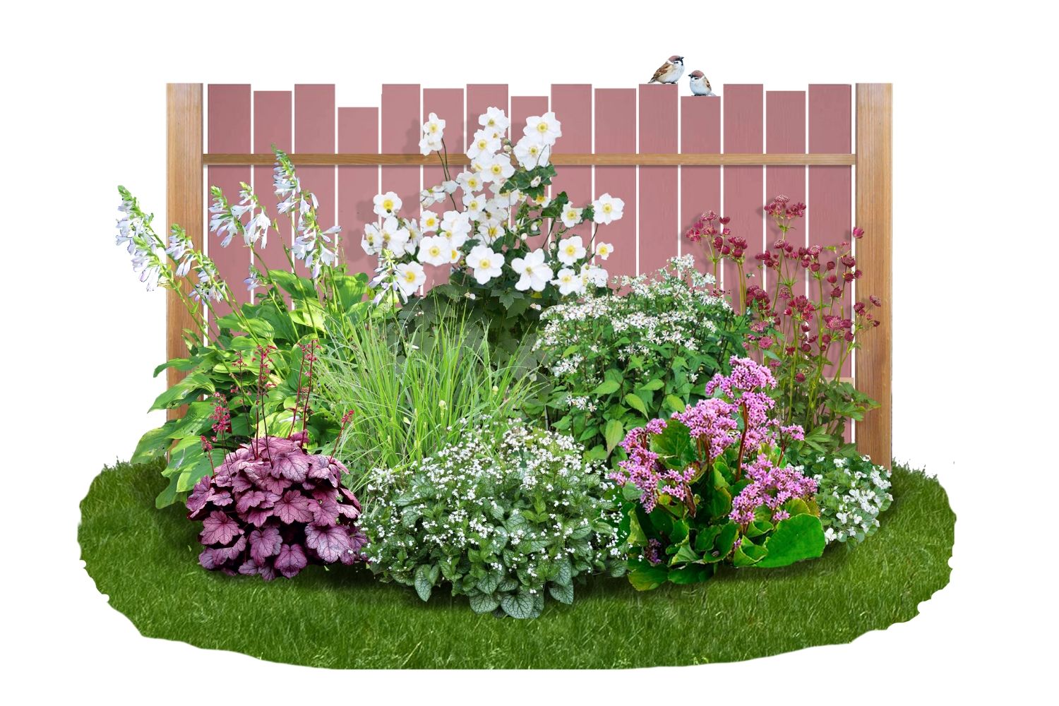 Brunnera-Paket 'Sweetie' Blatt- und Blütenschmuck in sanften Farben