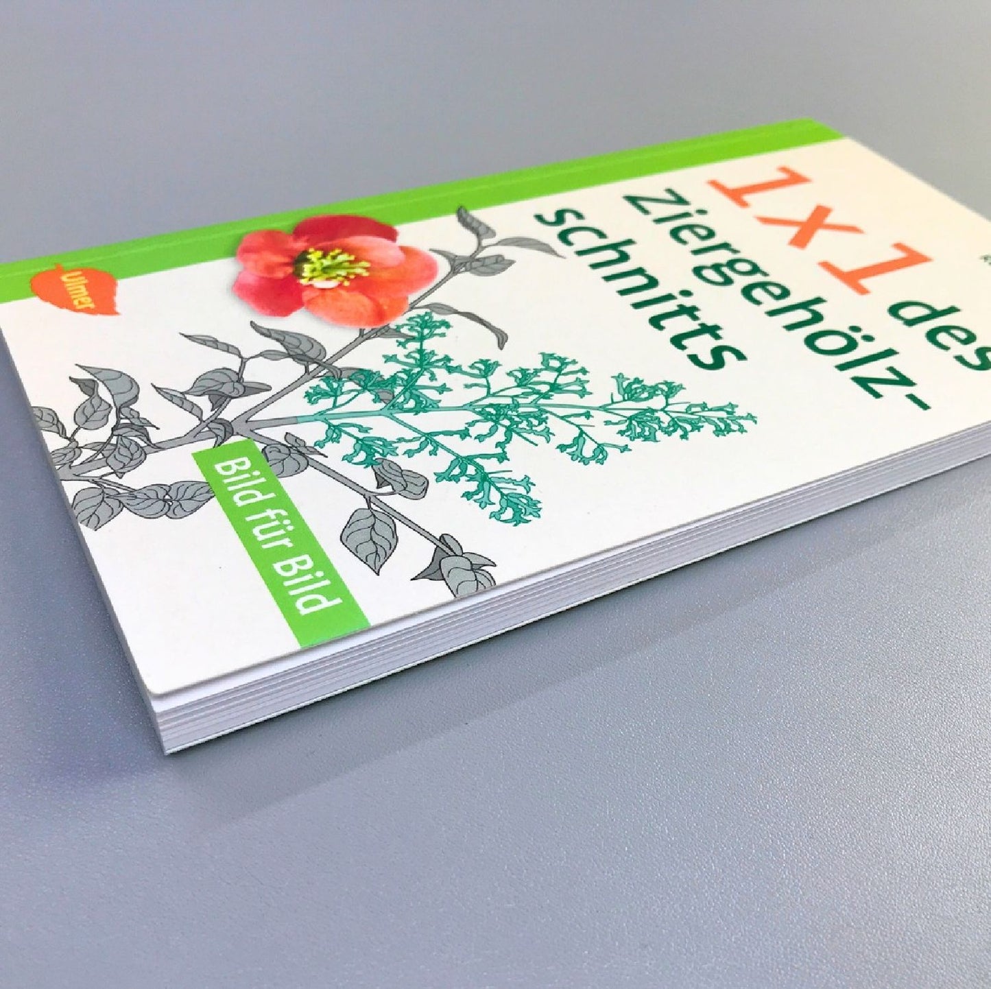 1x1 des Ziergehölzschnitts (Rolf Heinzelmann)