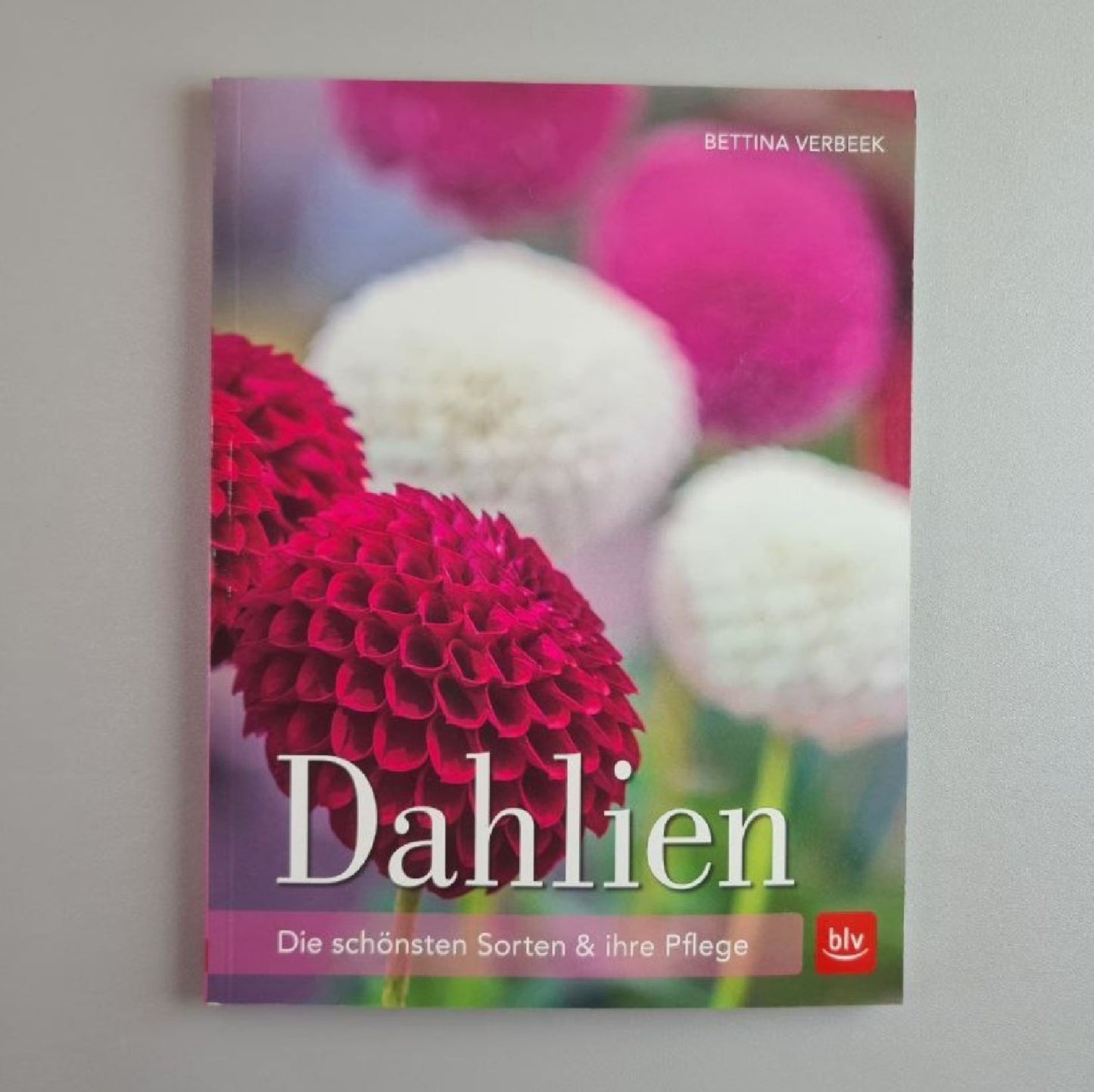 Dahlien Bettina Verbeek Dahlien Bettina Verbeek
