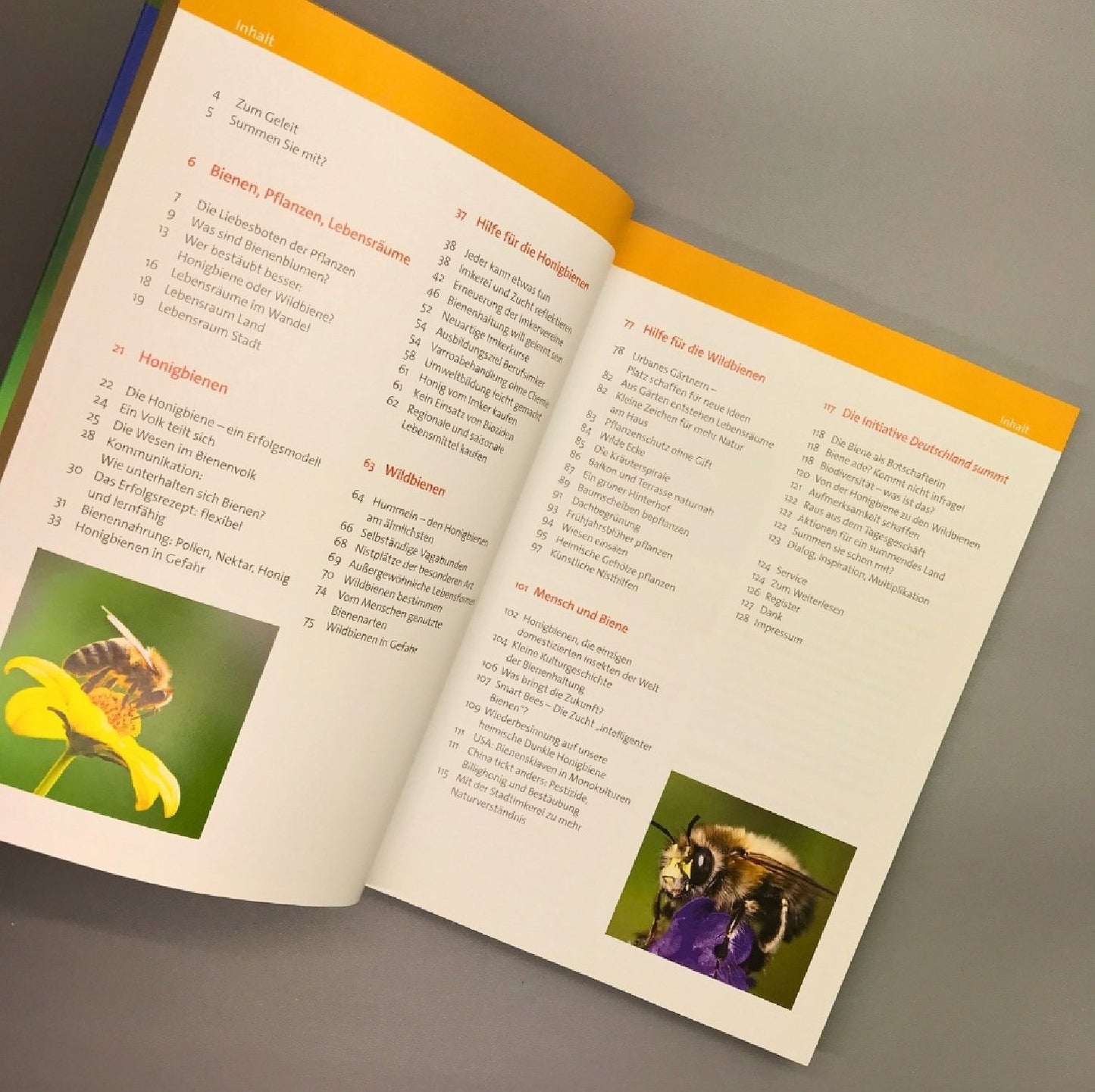 Wir tun was für die Bienen (Cornelis Hemmer)