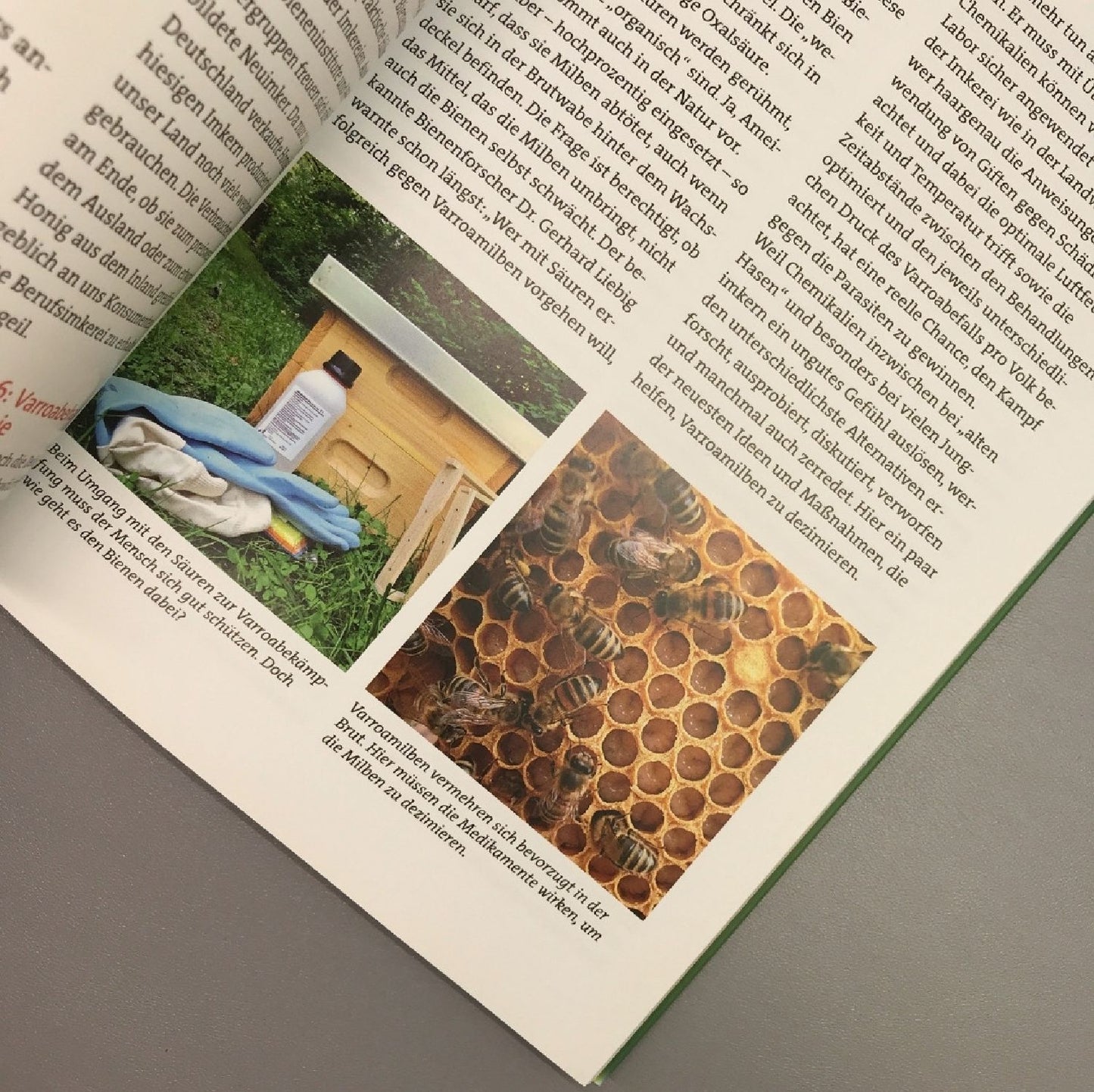 Wir tun was für die Bienen (Cornelis Hemmer)