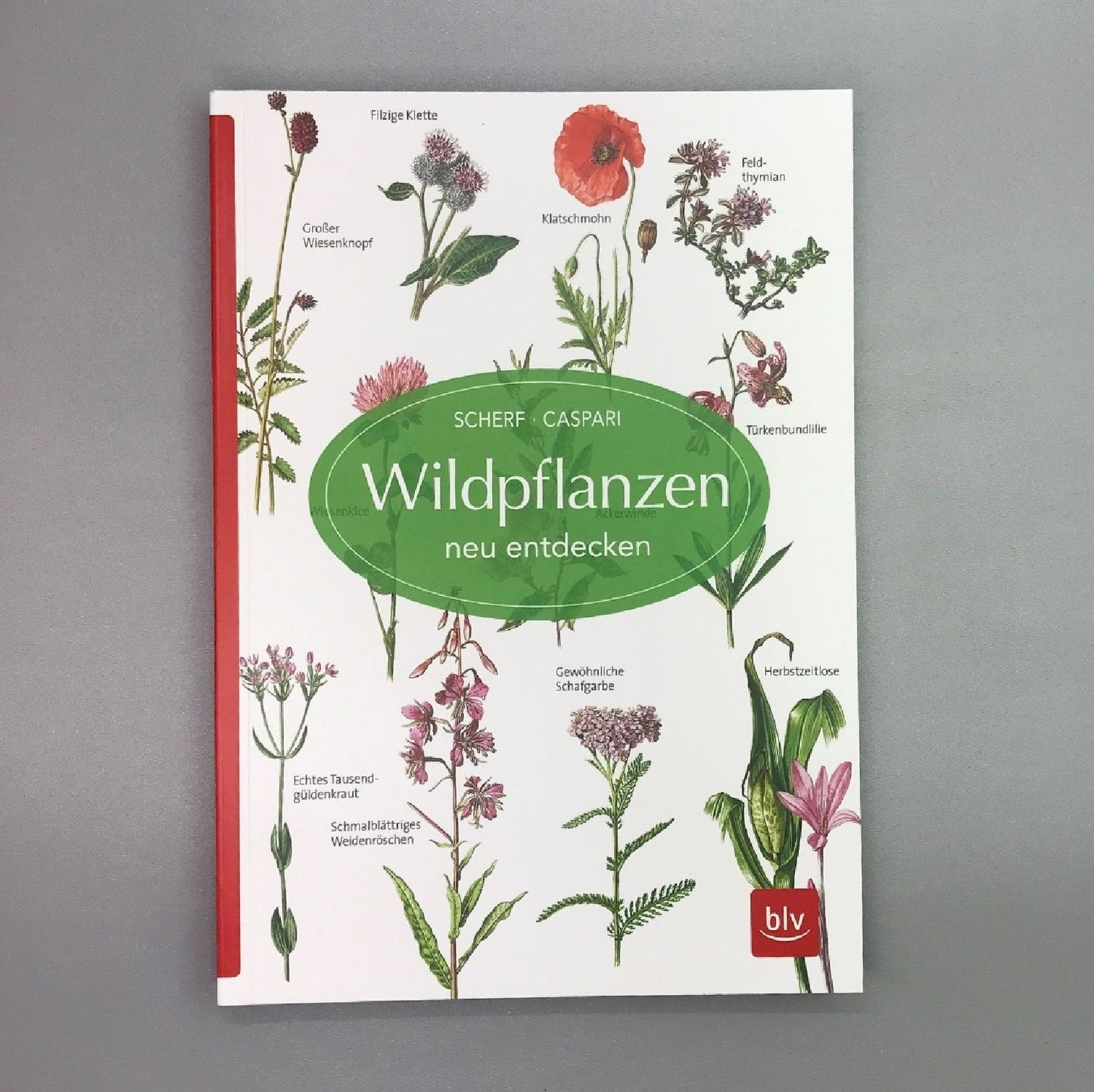 Wildpflanzen neu entdecken Scherf & Caspari