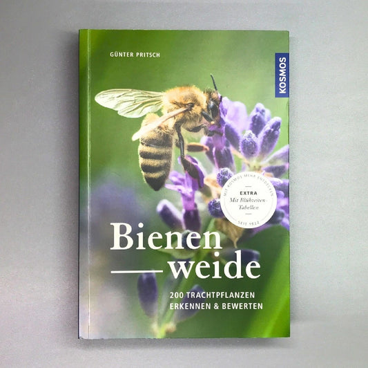 Bienenweide Günter Pritsch