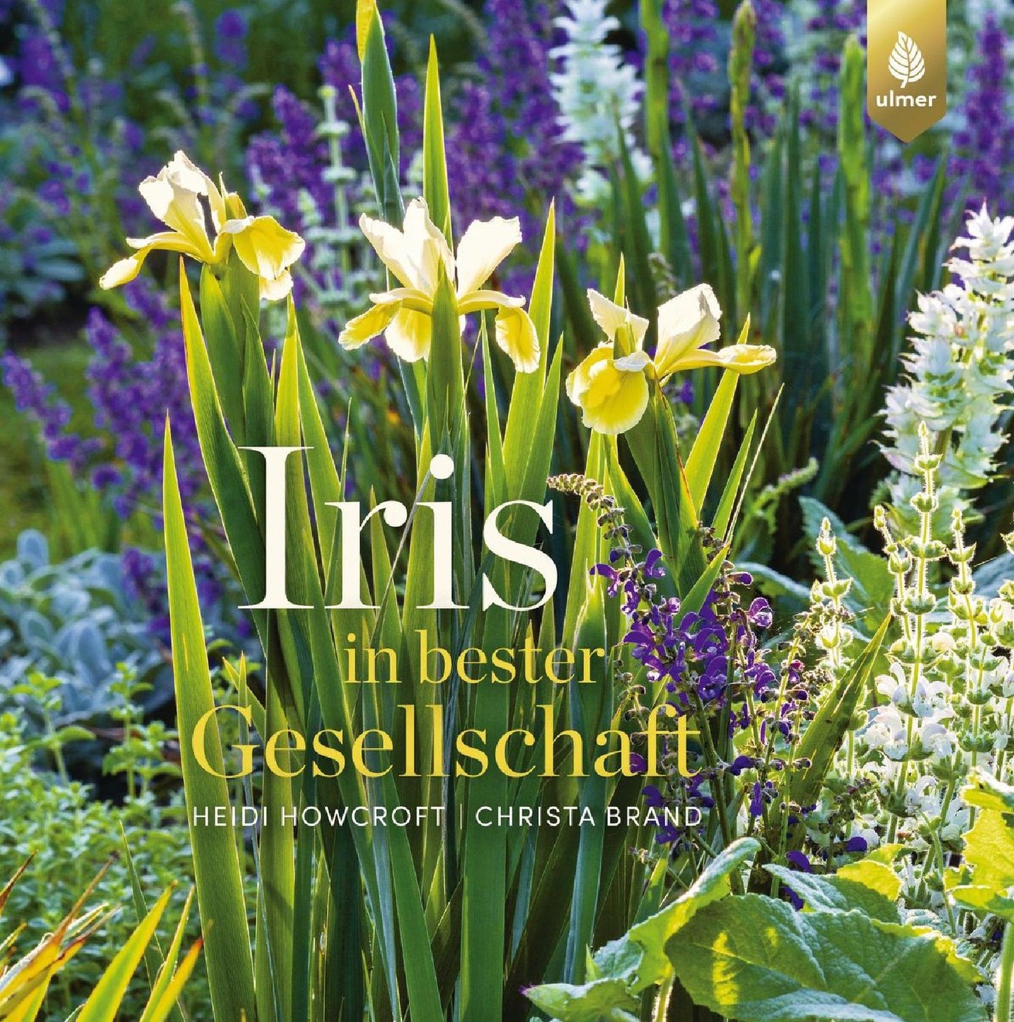 Iris in bester Gesellschaft Heidi Howcroft & Christa Brand