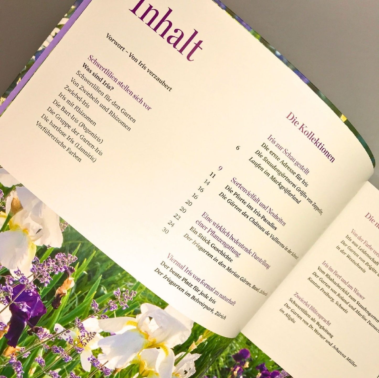 Iris in bester Gesellschaft (Heidi Howcroft & Christa Brand)