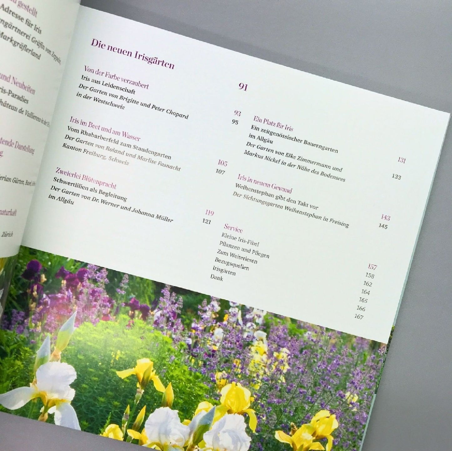 Iris in bester Gesellschaft (Heidi Howcroft & Christa Brand)