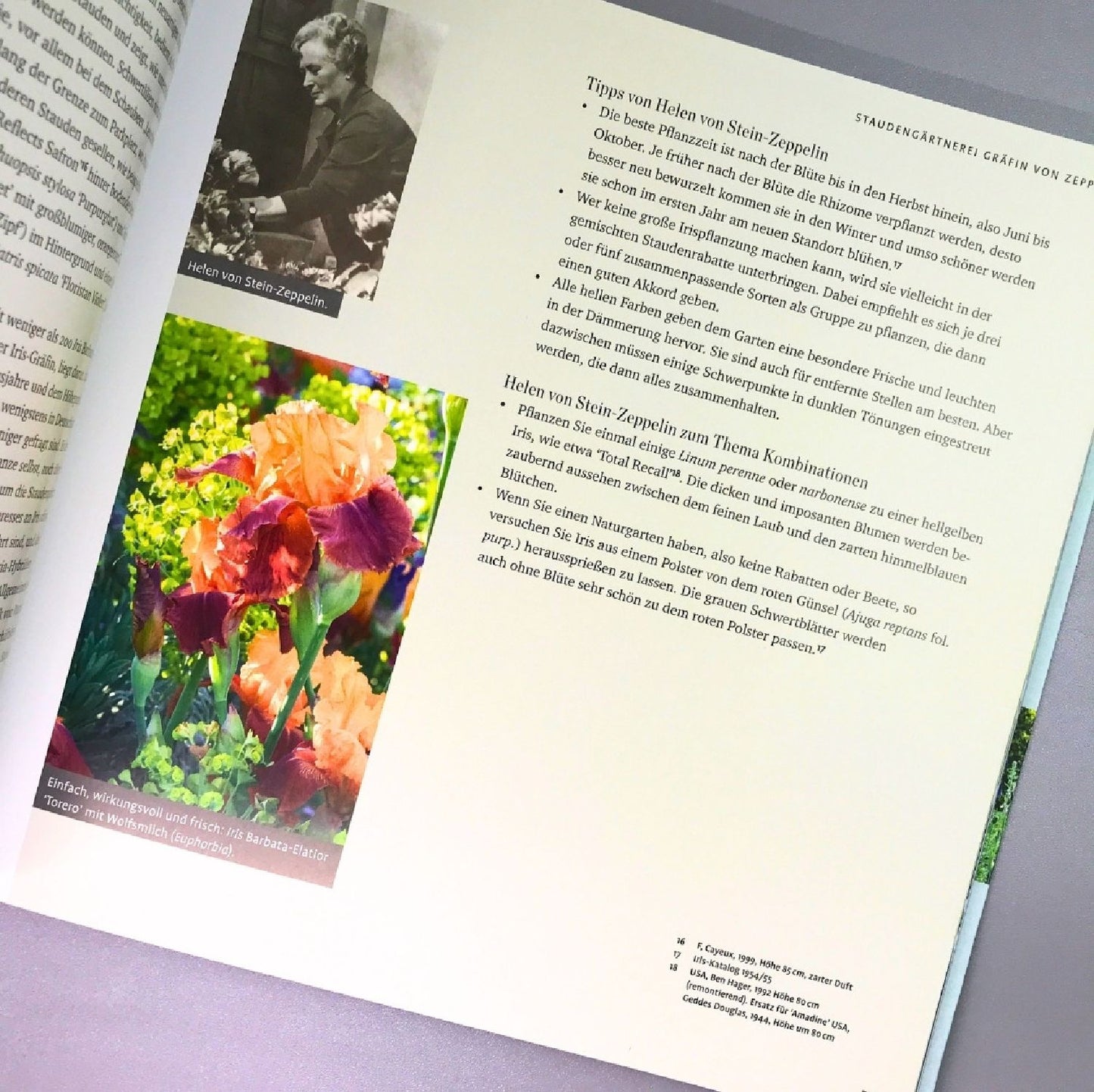Iris in bester Gesellschaft (Heidi Howcroft & Christa Brand)