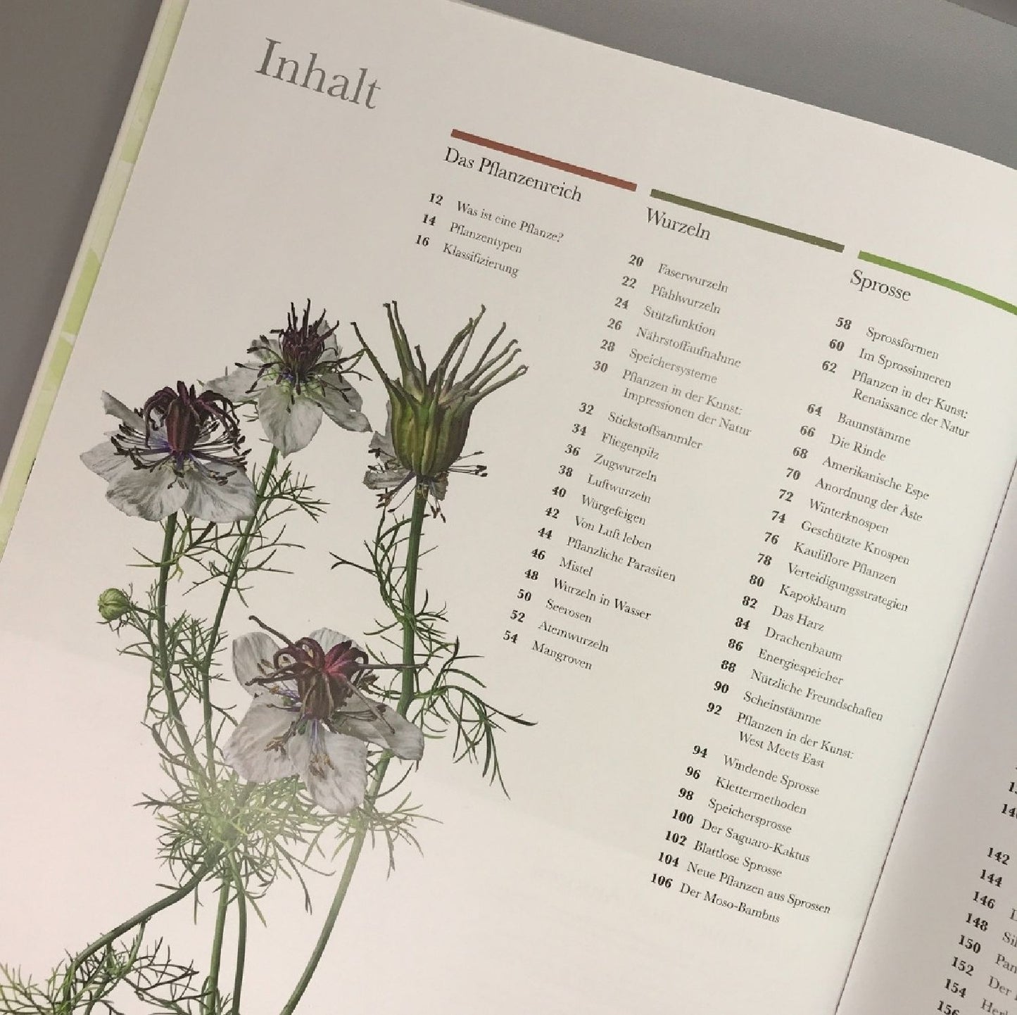Flora (Wunderwelt der Pflanzen)