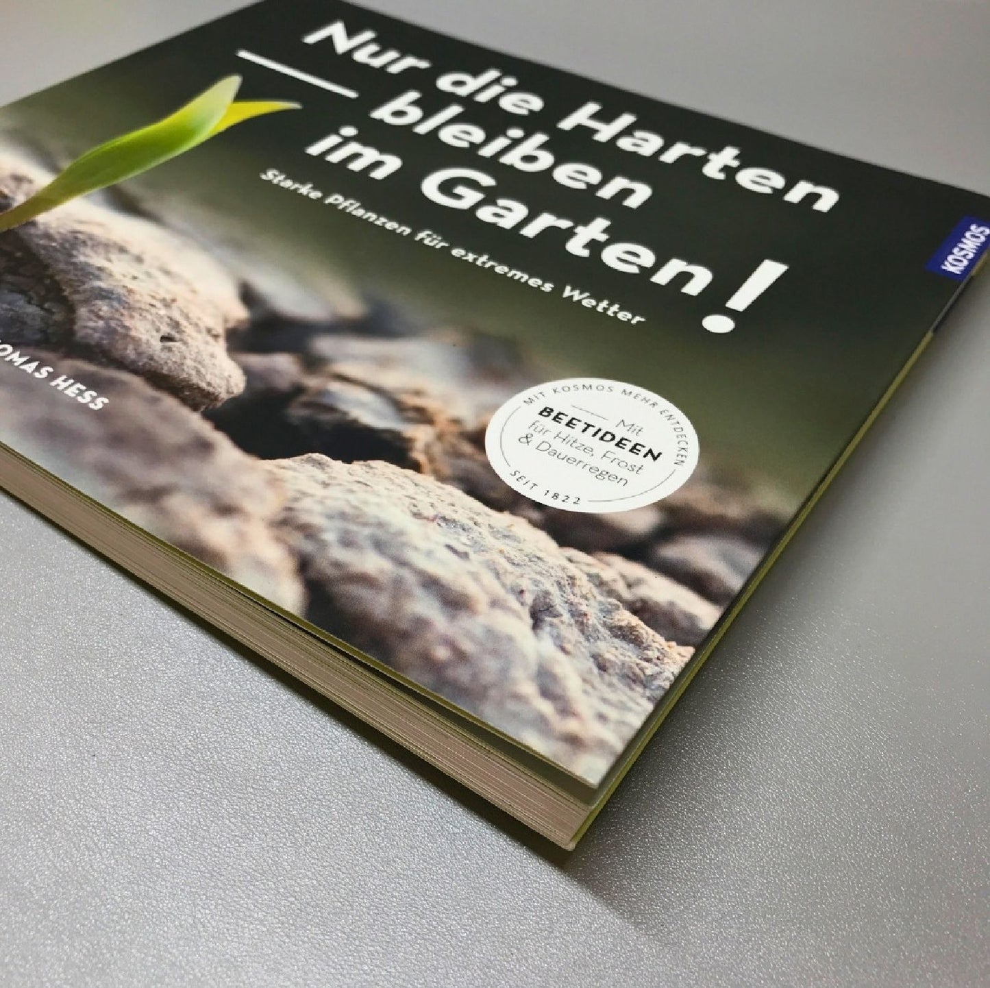 Nur die Harten bleiben im Garten! (Thomas Hess)
