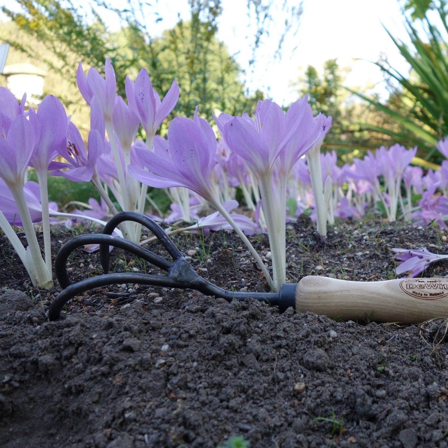 Handkralle mit 3 Zinken (mit Holzgriff aus Esche)