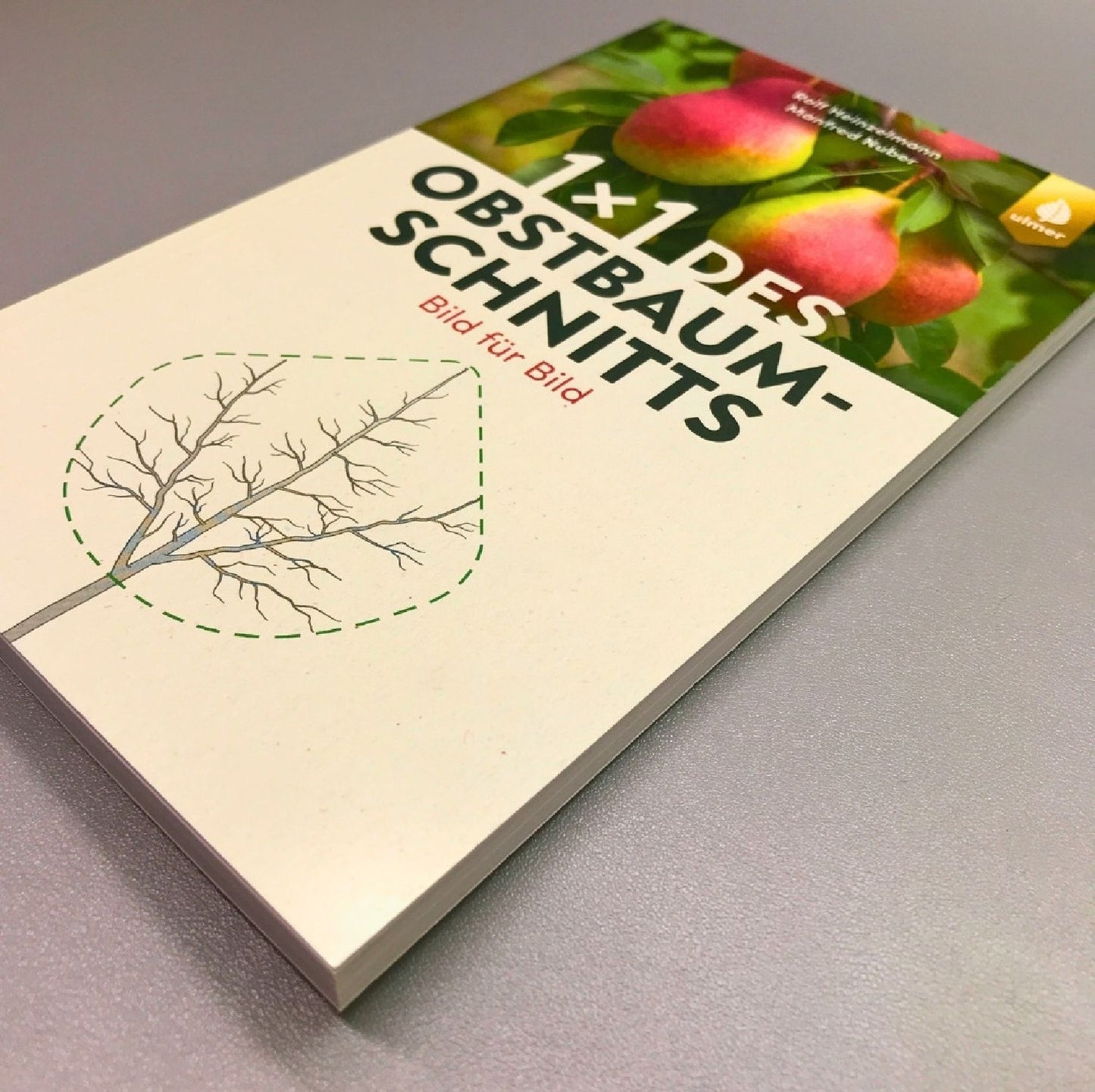 1 x 1 des Obstbaumschnitts (Rolf Heinzelmann, Manfred Nuber)