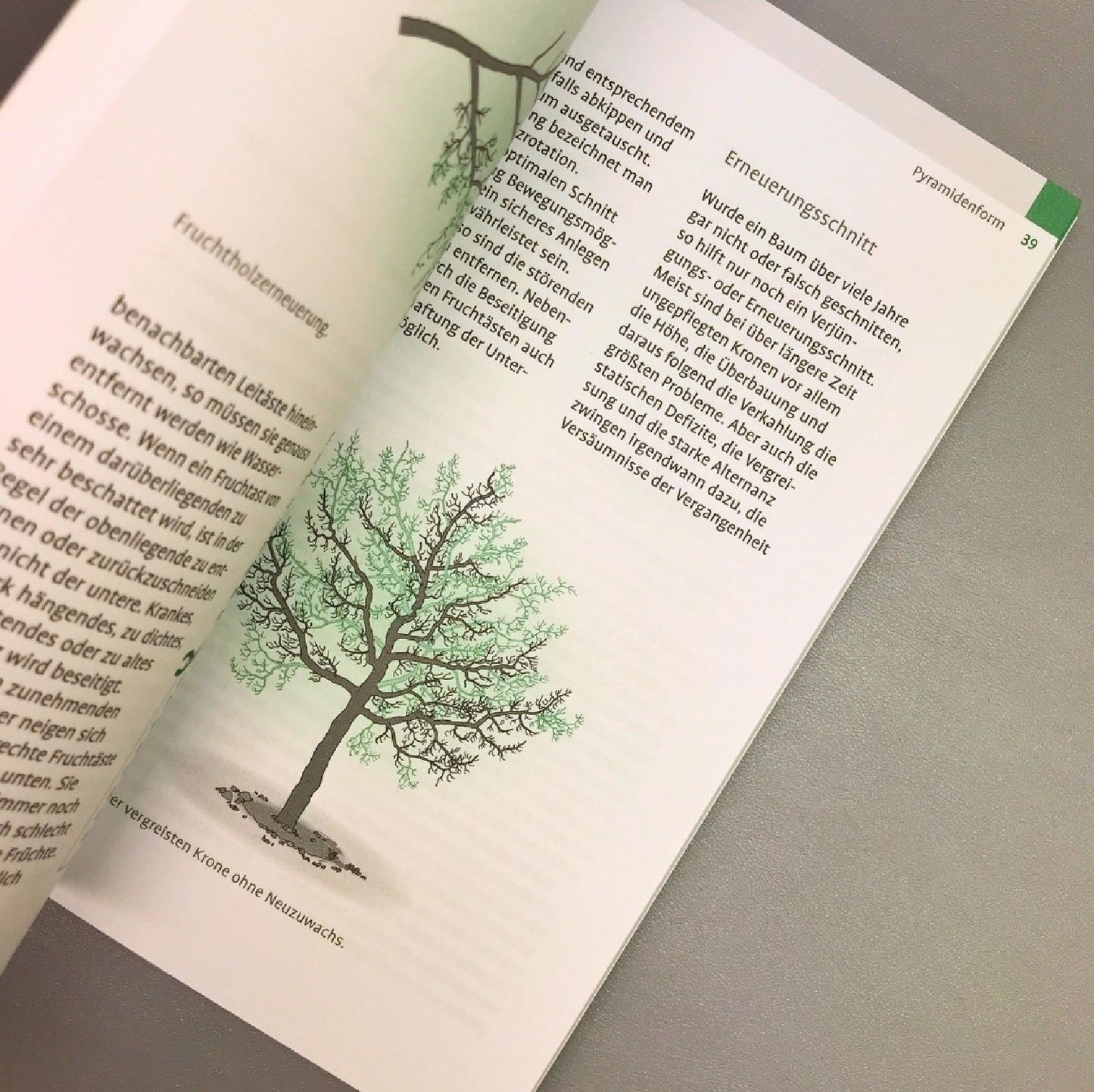 1 x 1 des Obstbaumschnitts (Rolf Heinzelmann, Manfred Nuber)