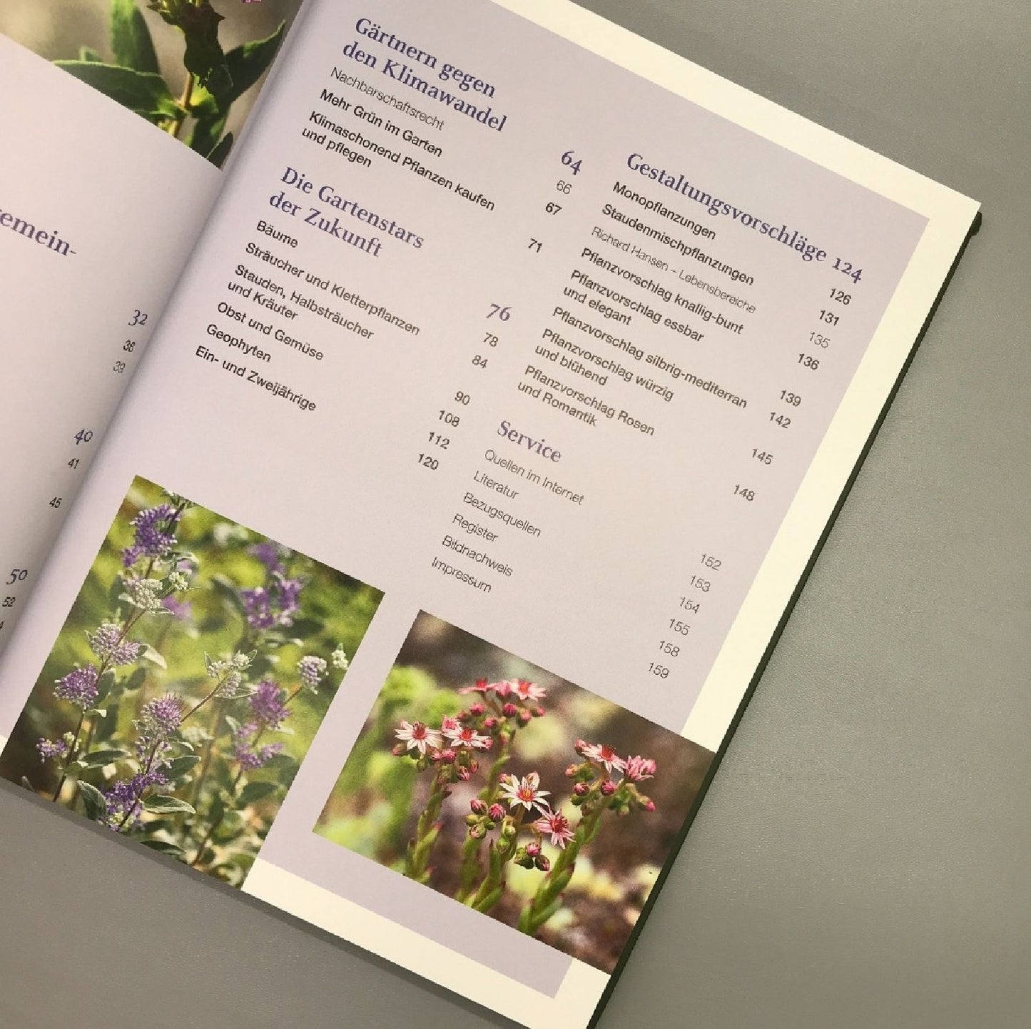 Robuste Schönheiten für den Garten (Ina Timm)