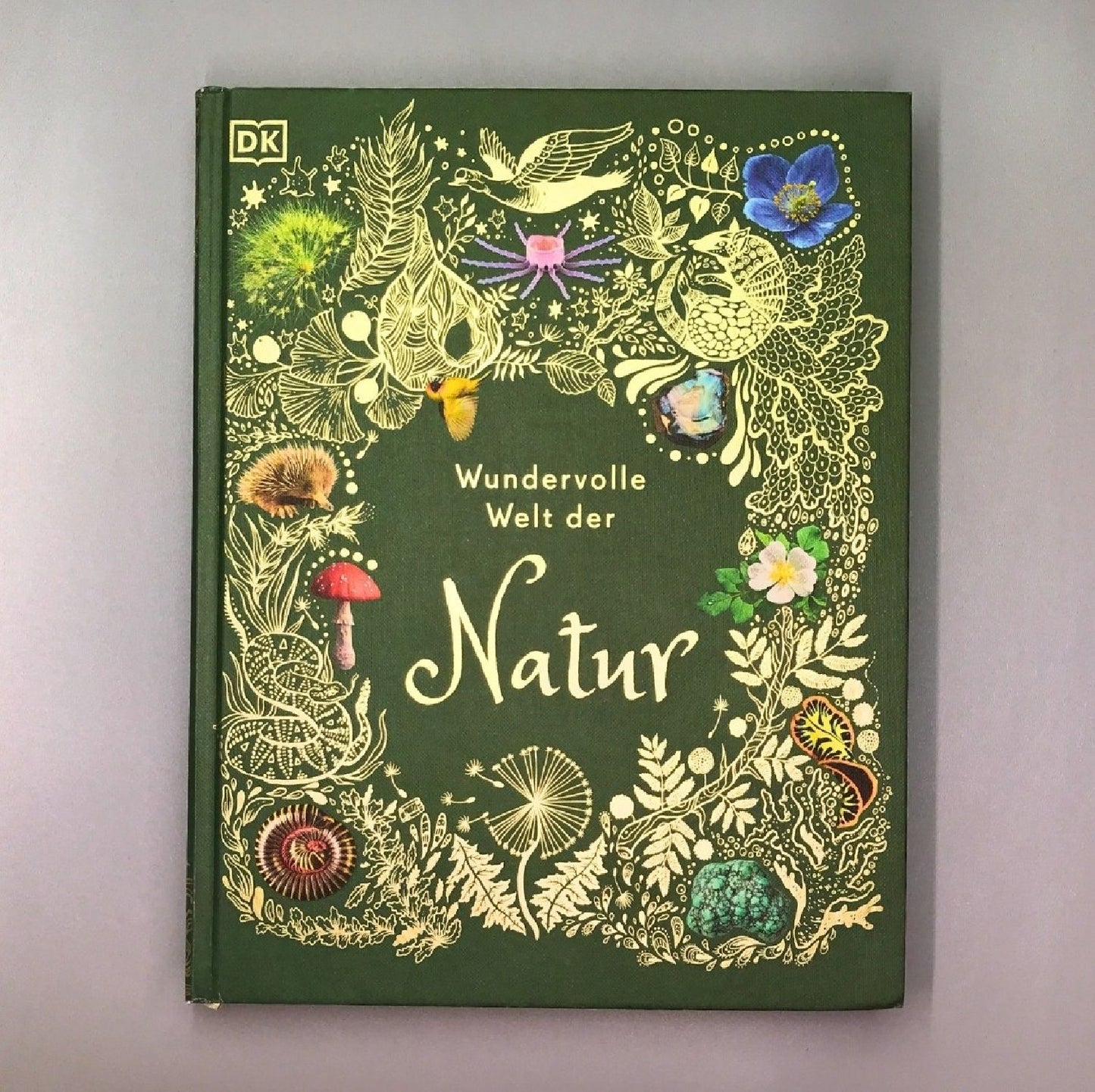 Wundervolle Welt der Natur (Ben Hoare)