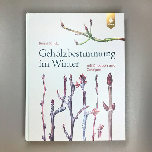 Gehölzbestimmung im Winter Bernd Schulz