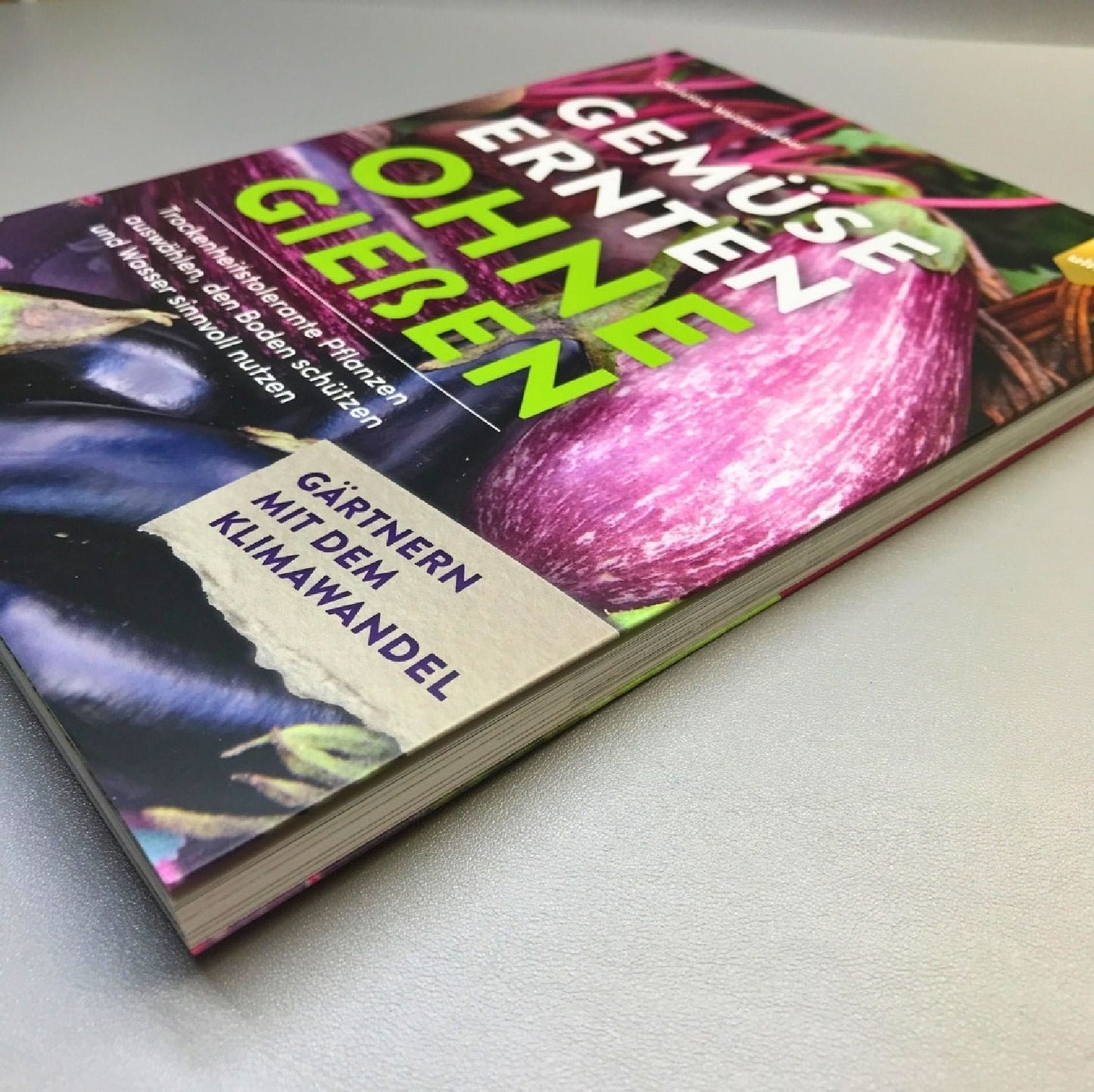 Gemüse ernten ohne gießen (Christine Weidenweber)