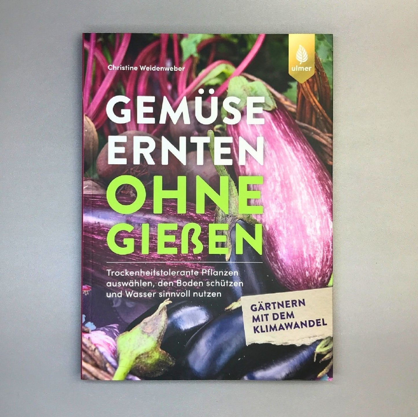 Gemüse ernten ohne gießen (Christine Weidenweber)