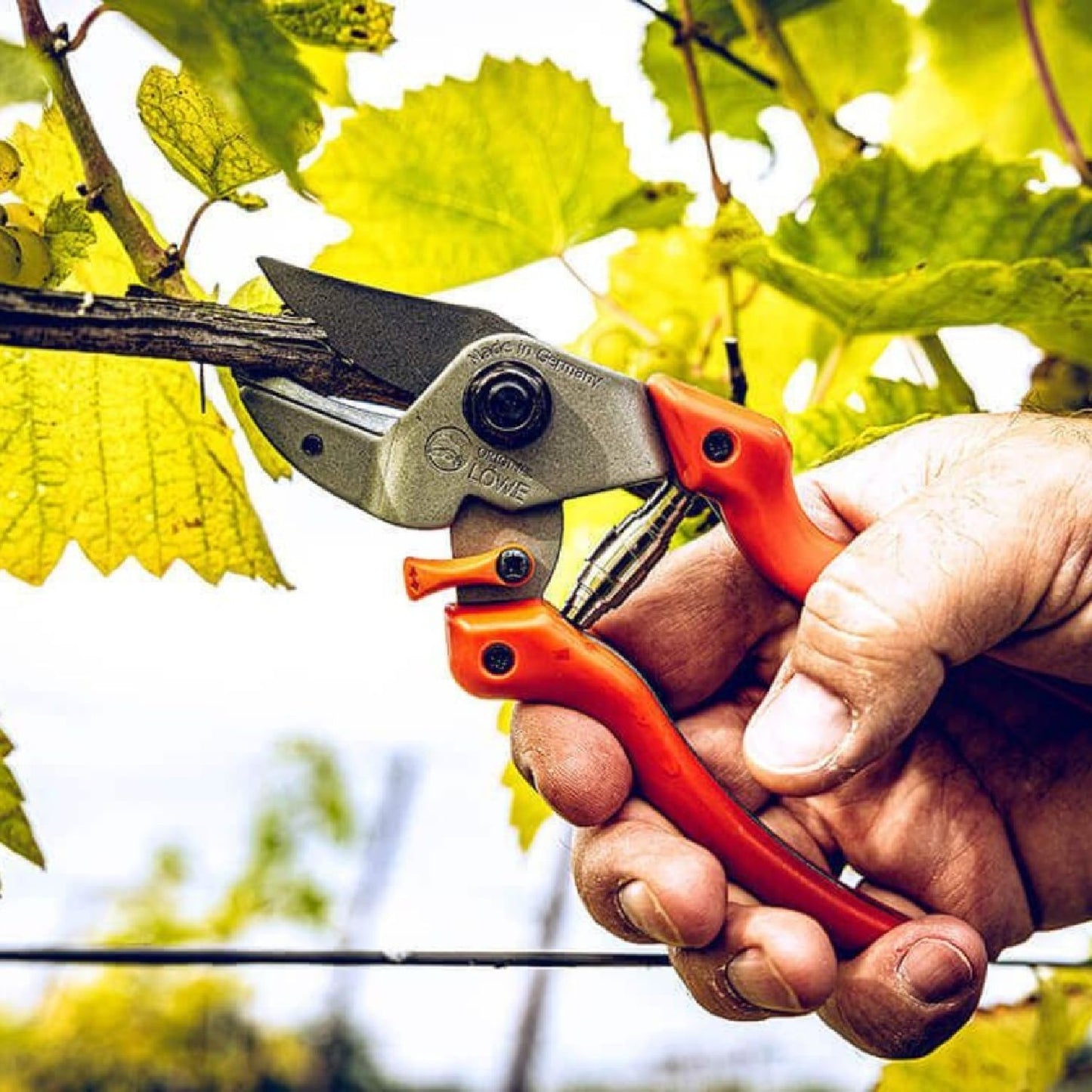 Gartenschere Löwe 7 für Rechts- und Linkshänder