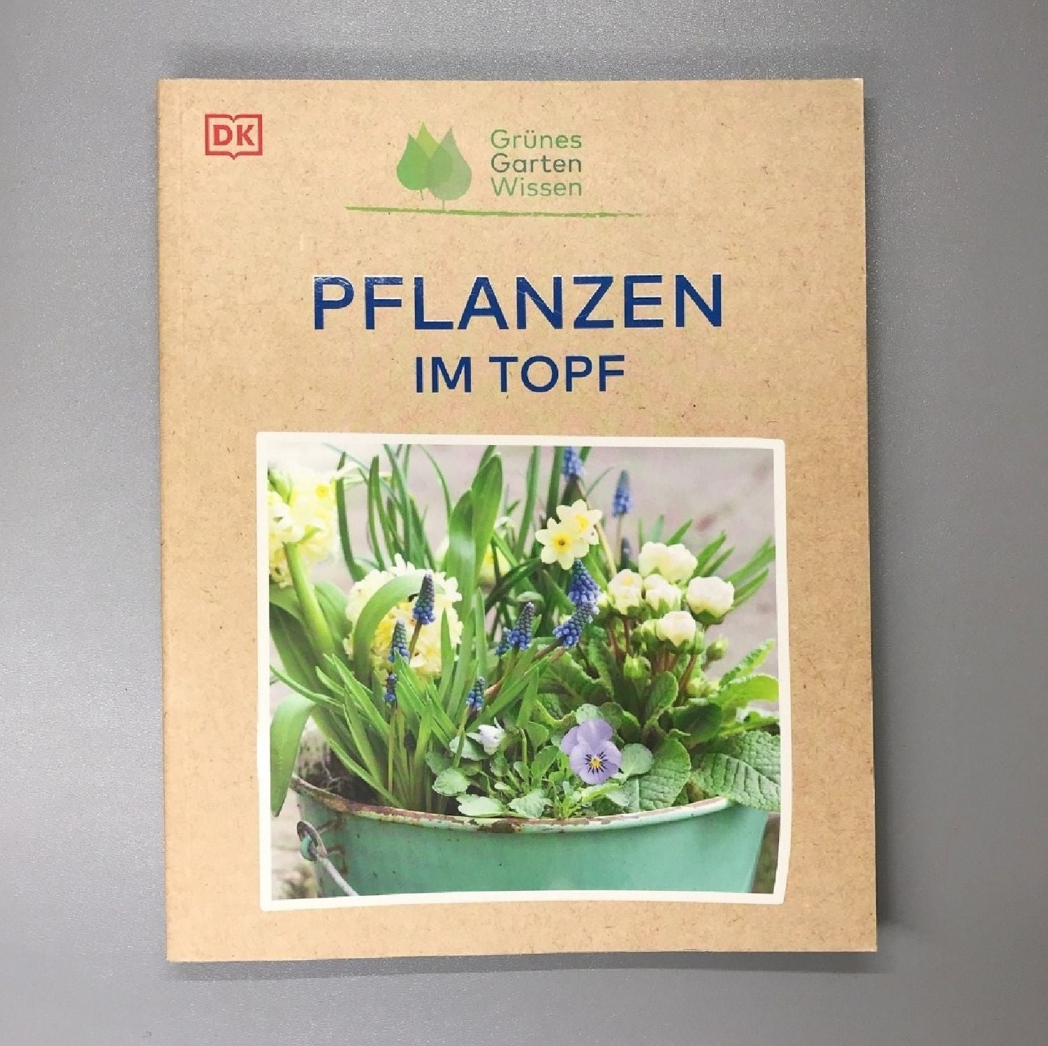 Pflanzen im Topf Grünes Garten Wissen