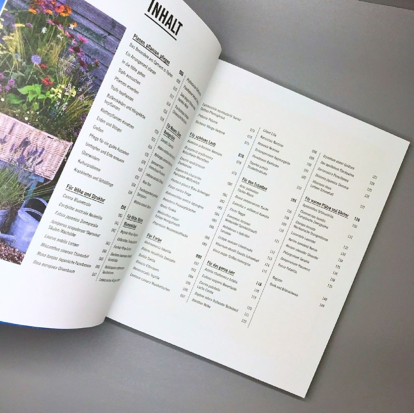 Pflanzen im Topf (Grünes Garten Wissen)