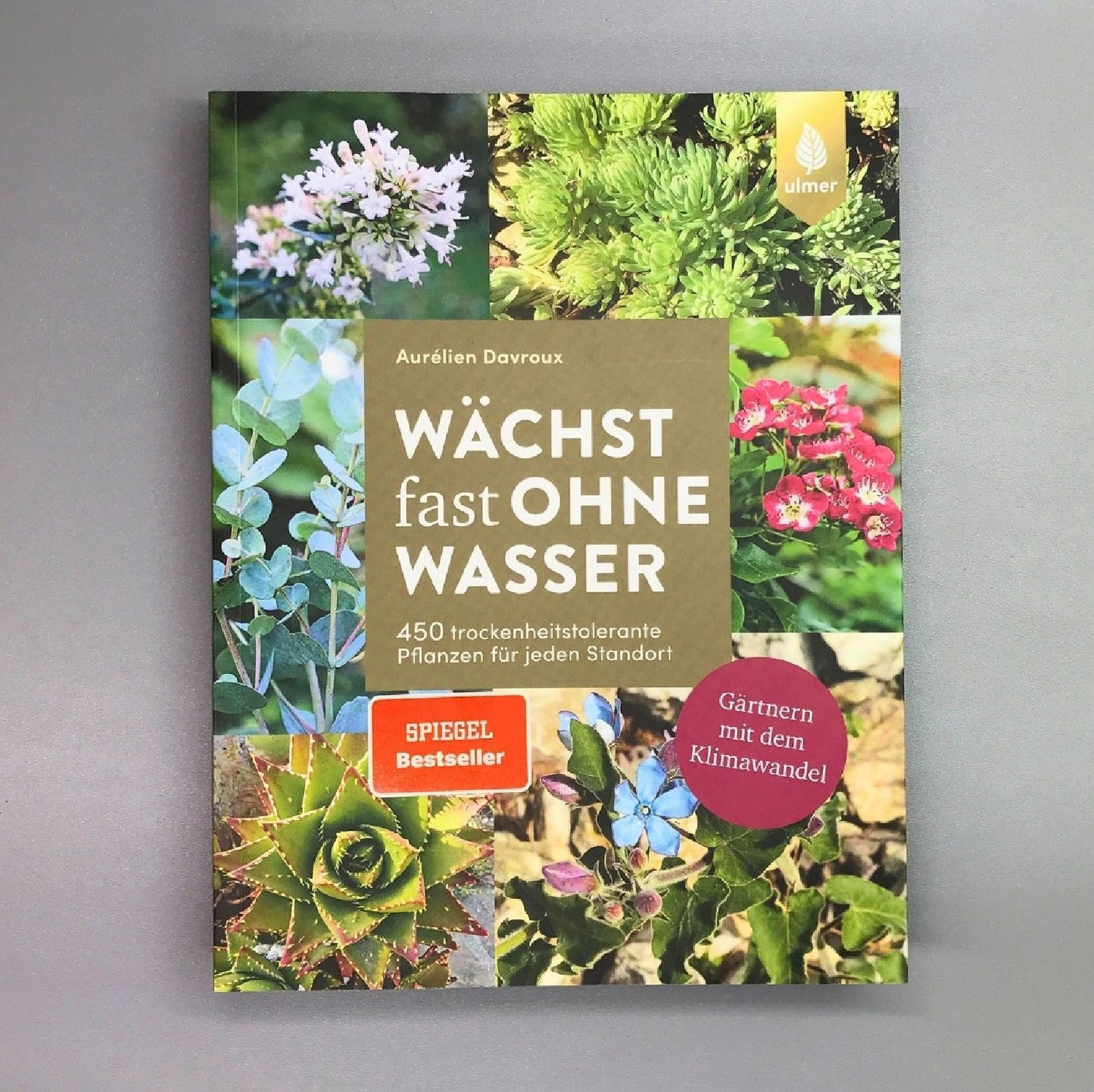 Wächst fast ohne Wasser Aurélien Davroux