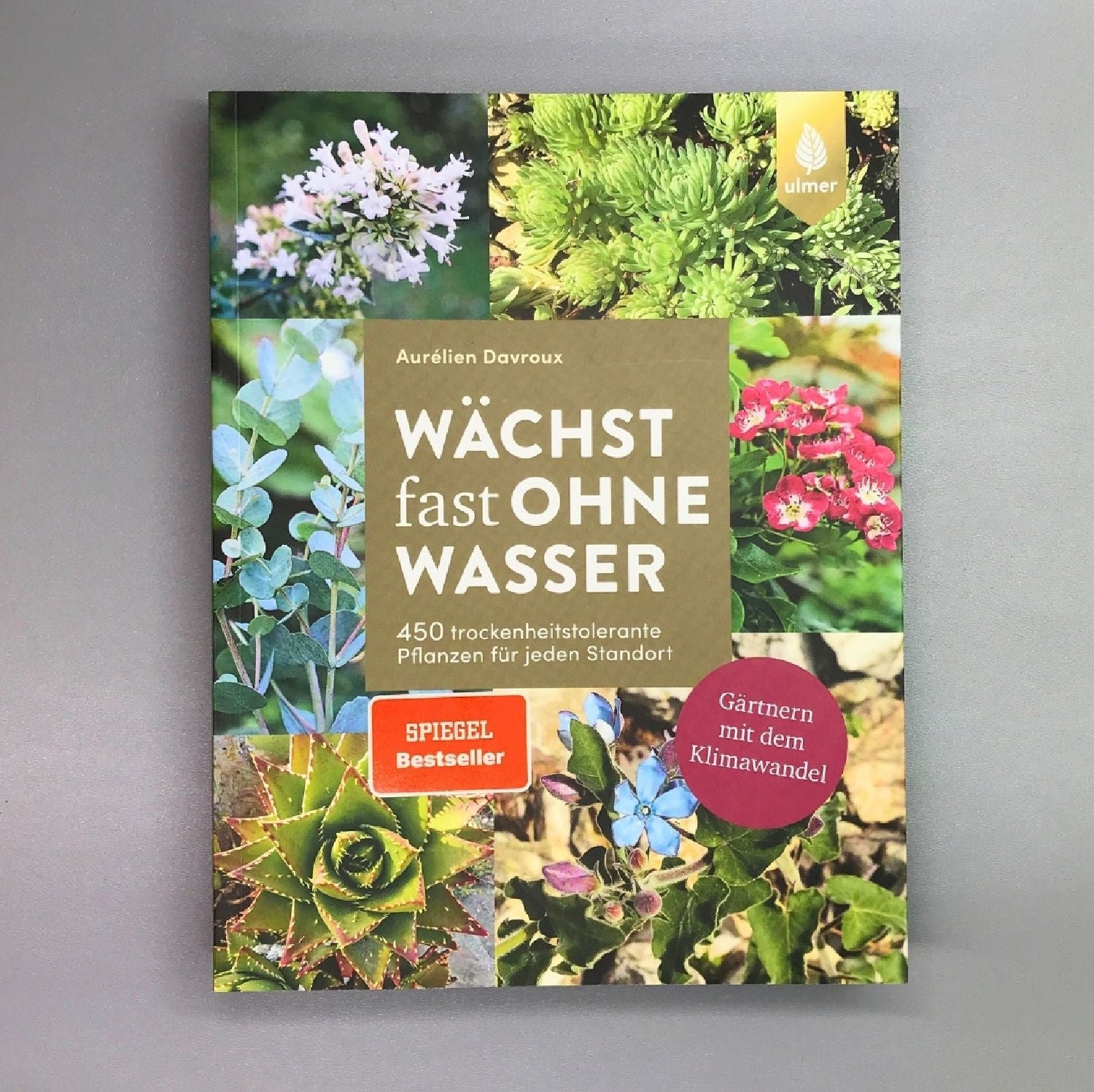 Wächst fast ohne Wasser Aurélien Davroux