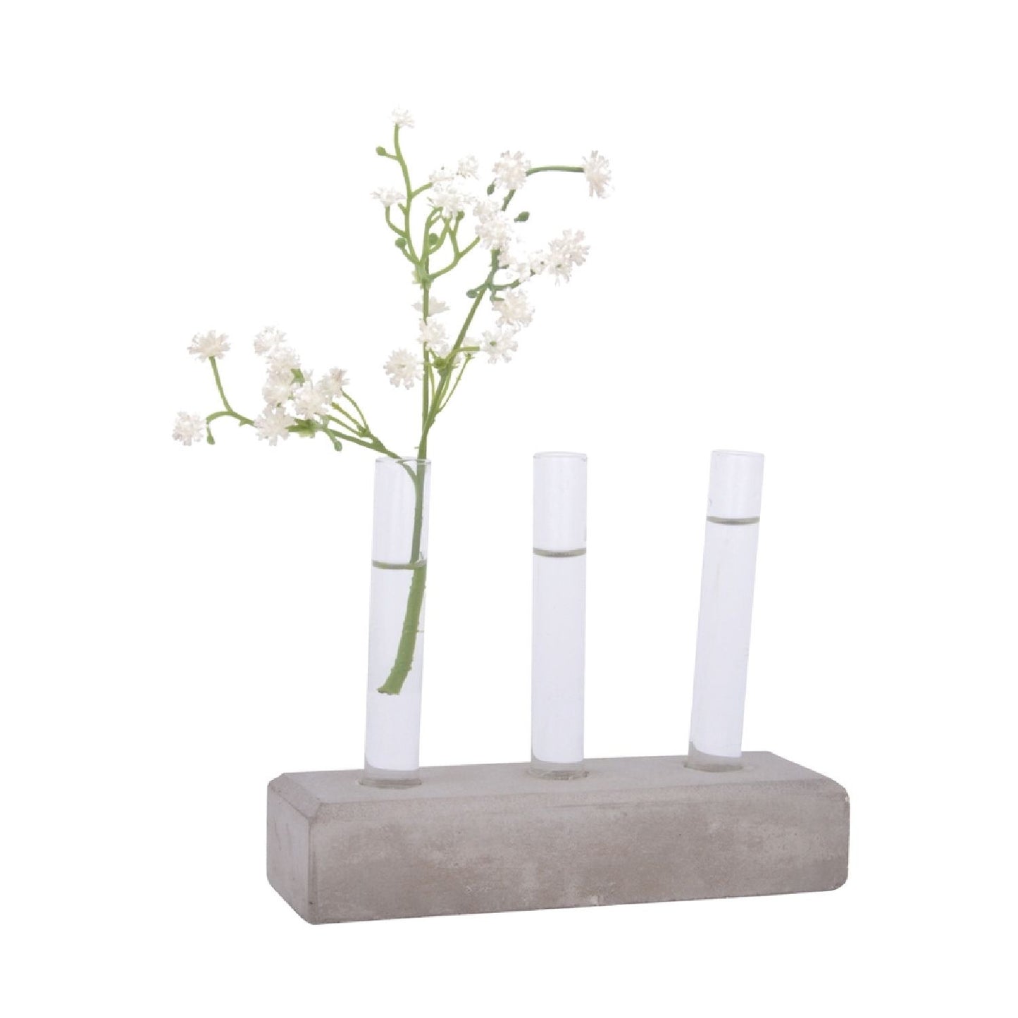 Ablegerset Beton (klein) (Anzuchtset oder als Deko Vase)