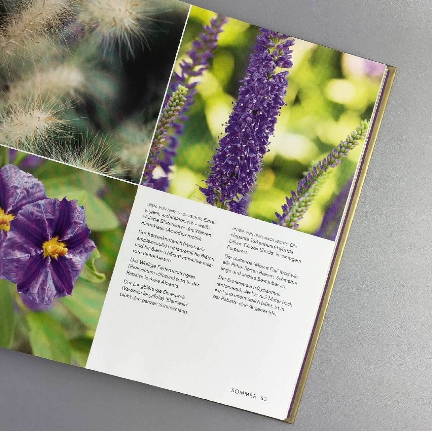 Buckingham Palast (Der Königliche Garten)