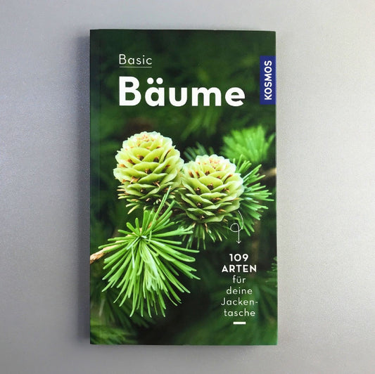 Basic Bäume Katrin Hecker