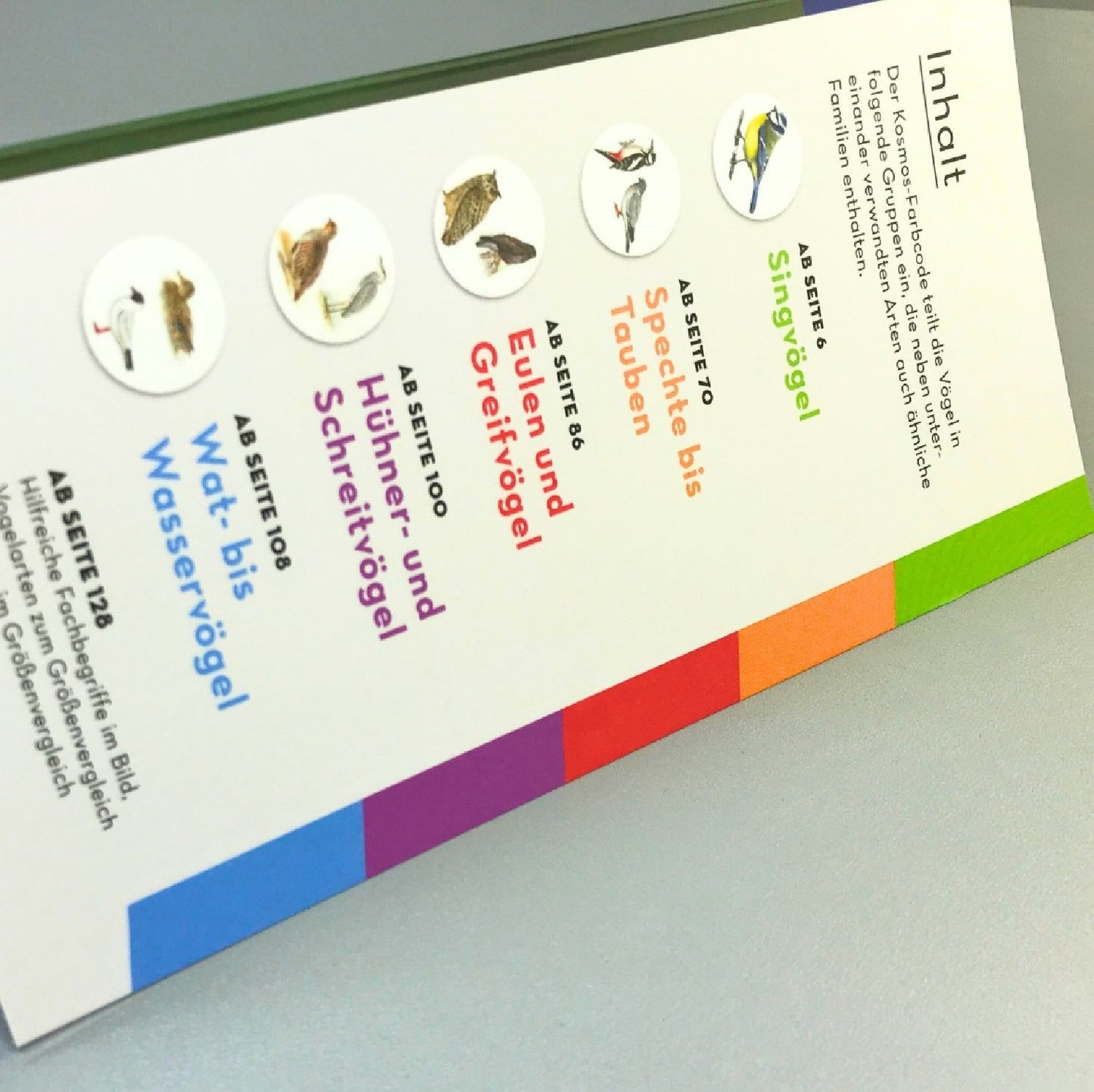 Basic Gartenvögel (Volker Dierschke)