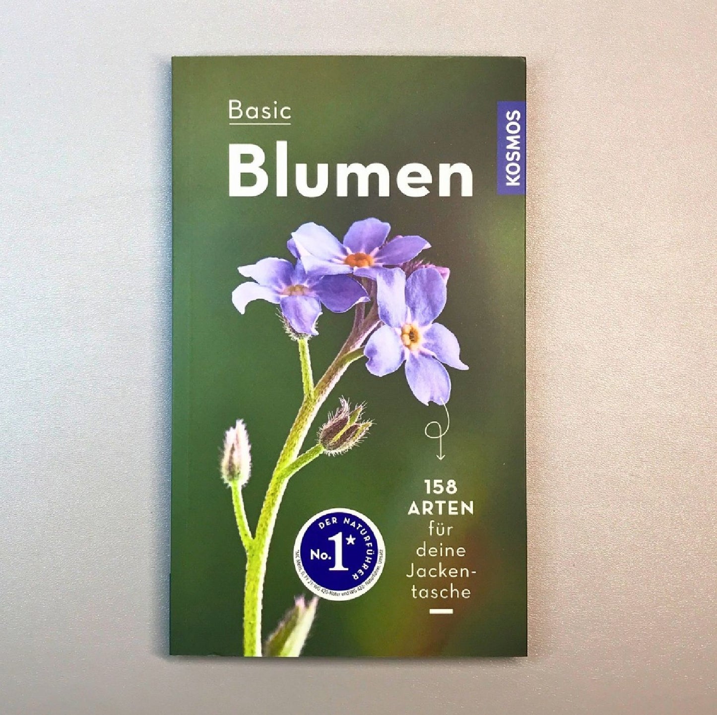 Basic Blumen Eva-Maria Dreyer