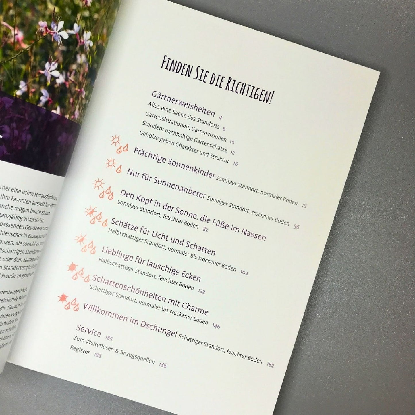 Die 150 Besten Pflanzen (für jede Gartenecken)