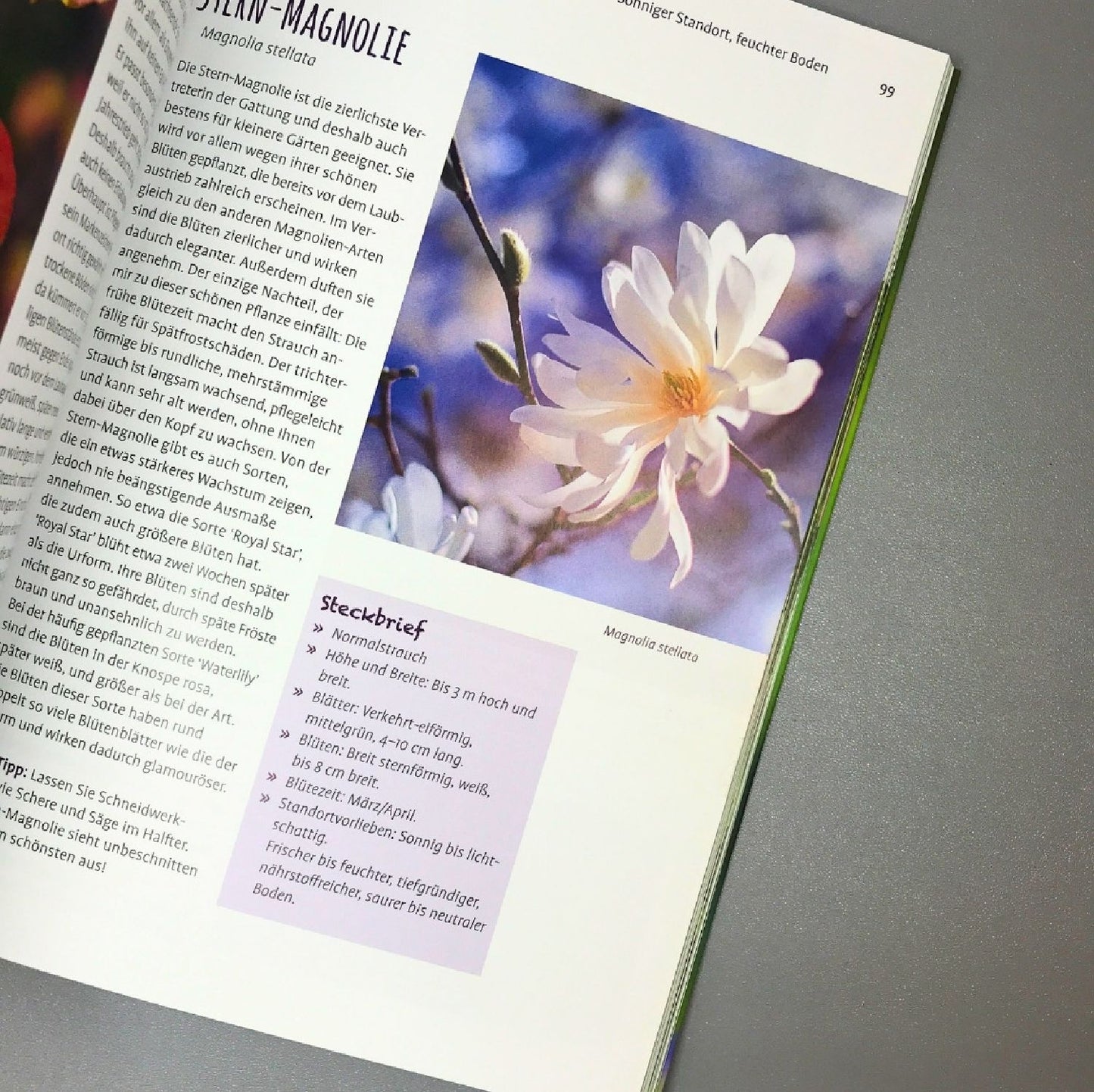 Die 150 Besten Pflanzen (für jede Gartenecken)